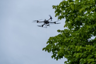 A drone flies near the trees.