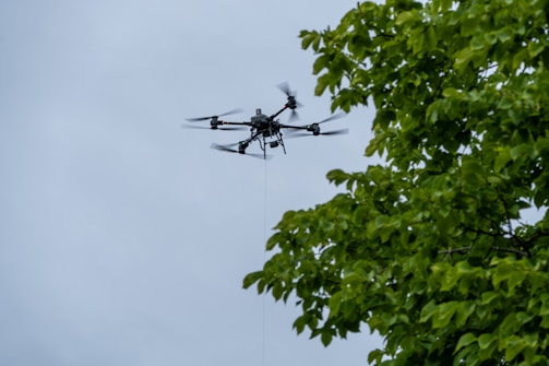 A drone flies near the trees.
