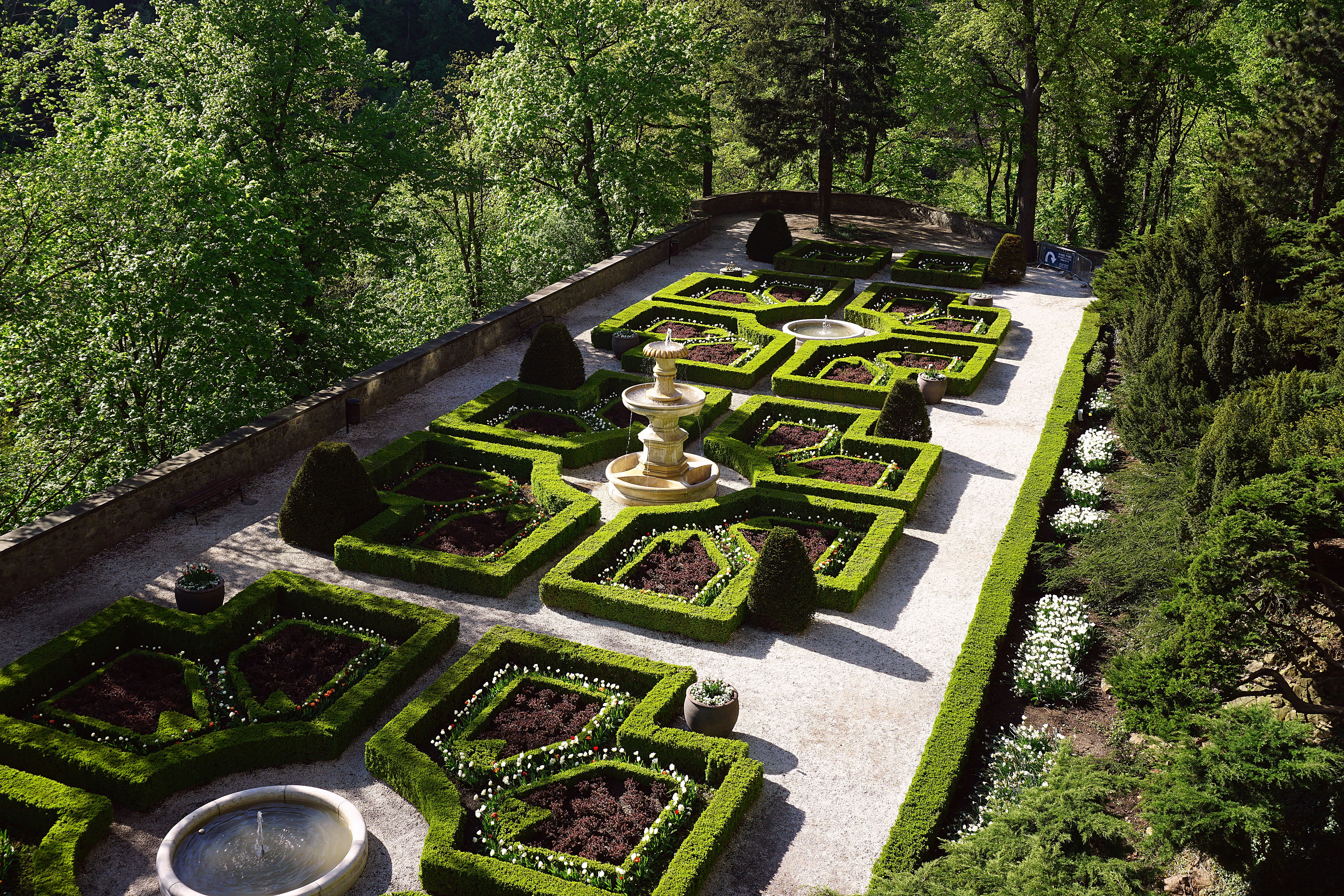 garden demonstrating design principles - Backyard landscape design