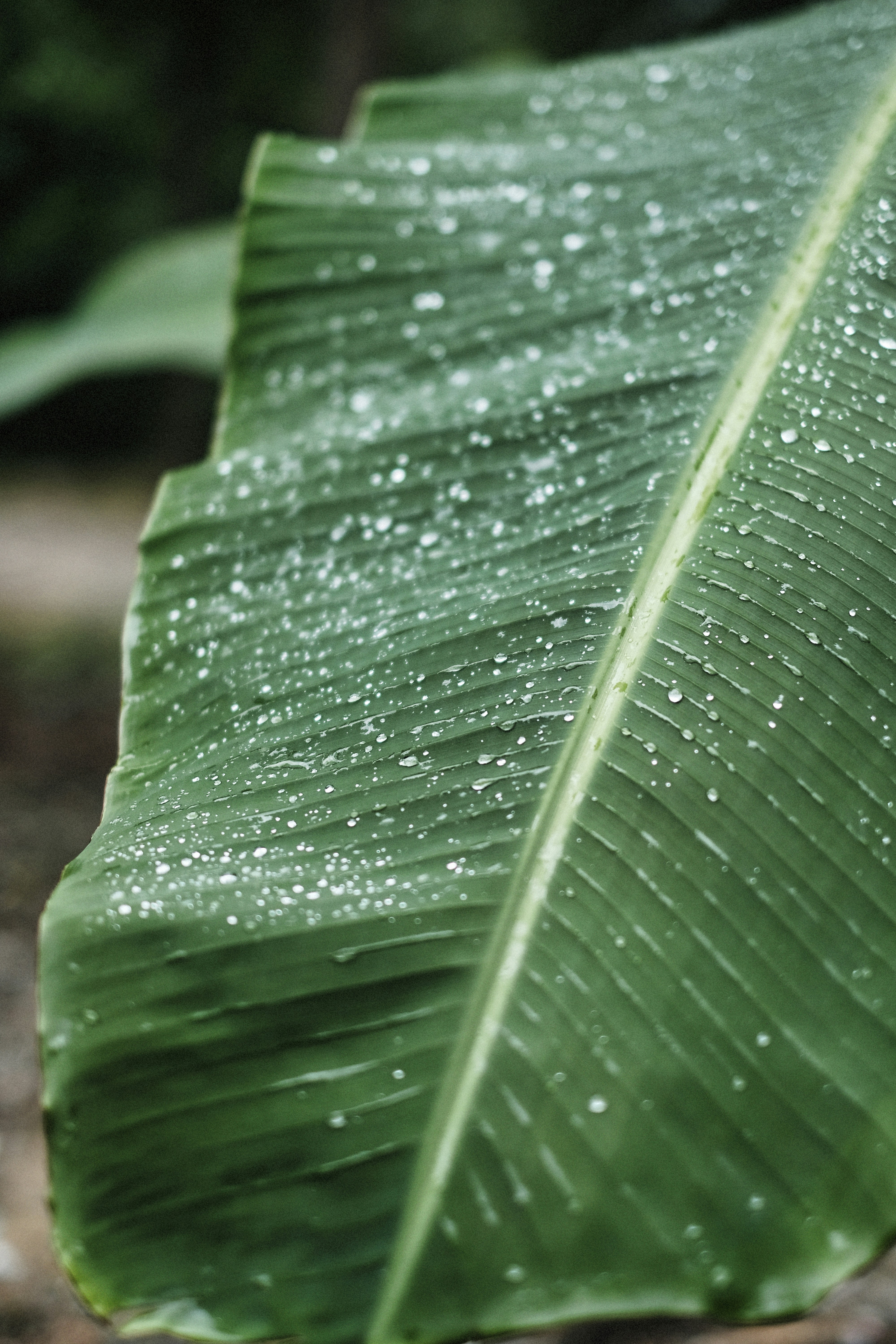 Photo by alexeydemidov