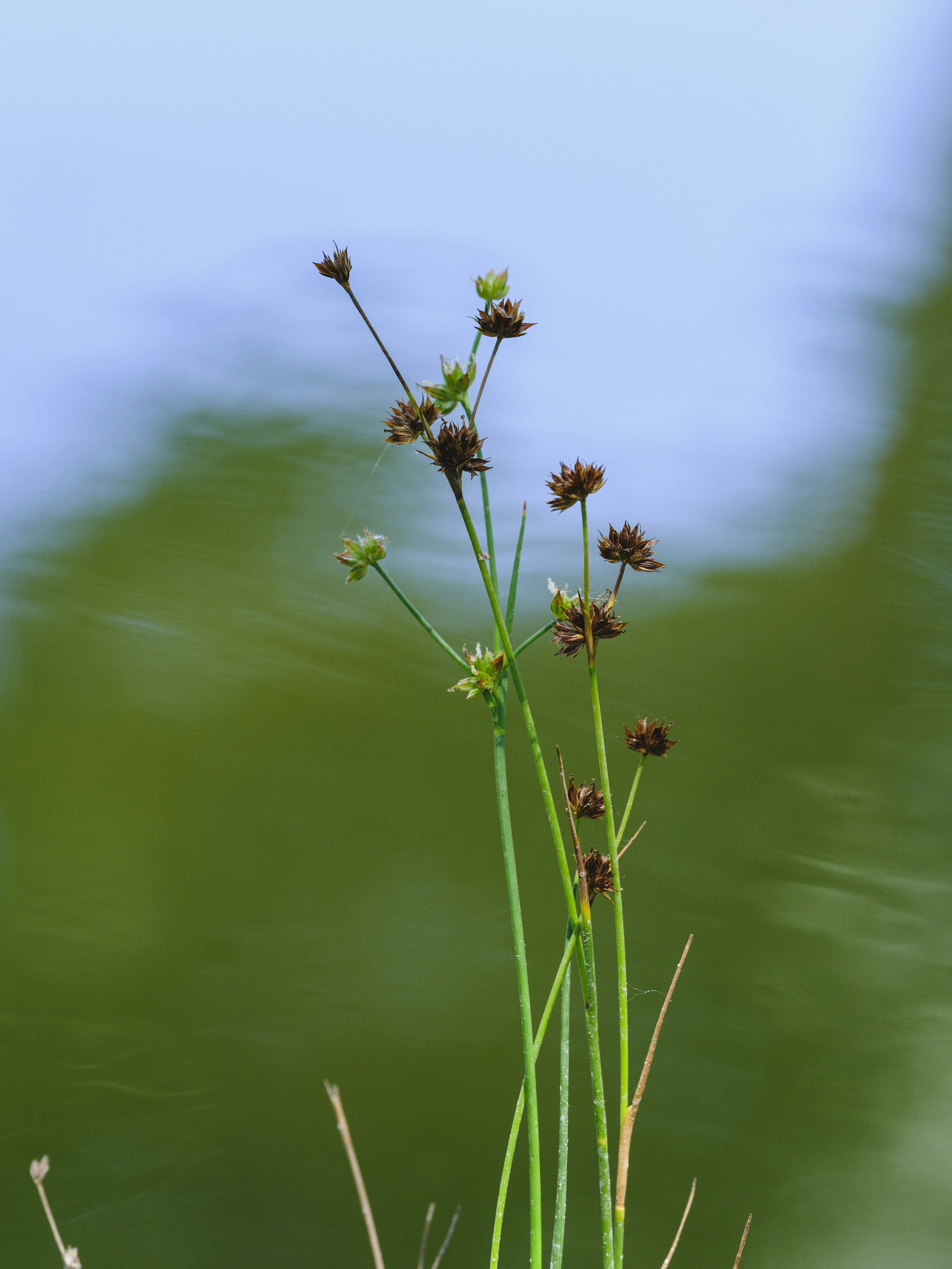 Photo by enginakyurt