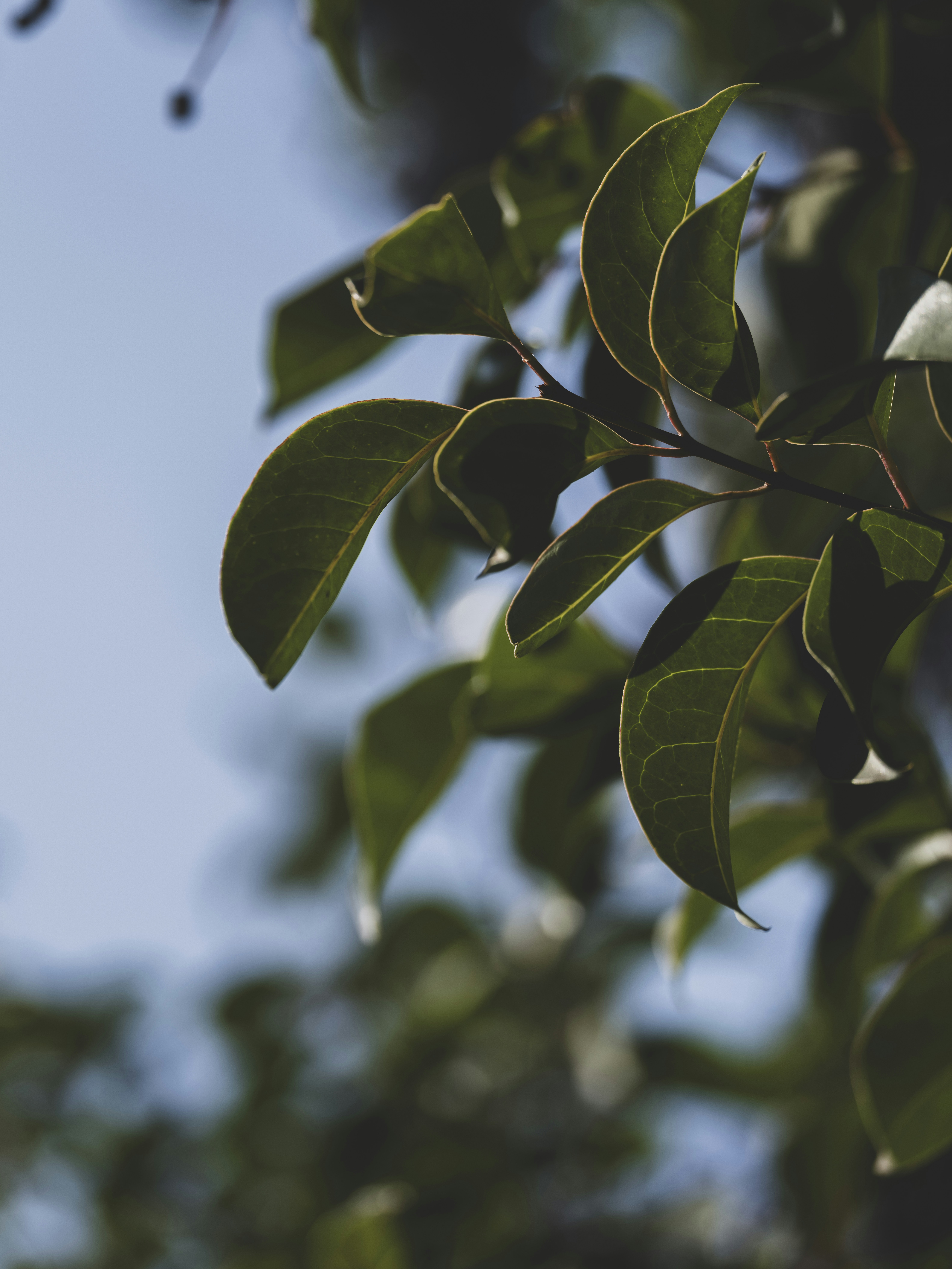 Photo by enginakyurt