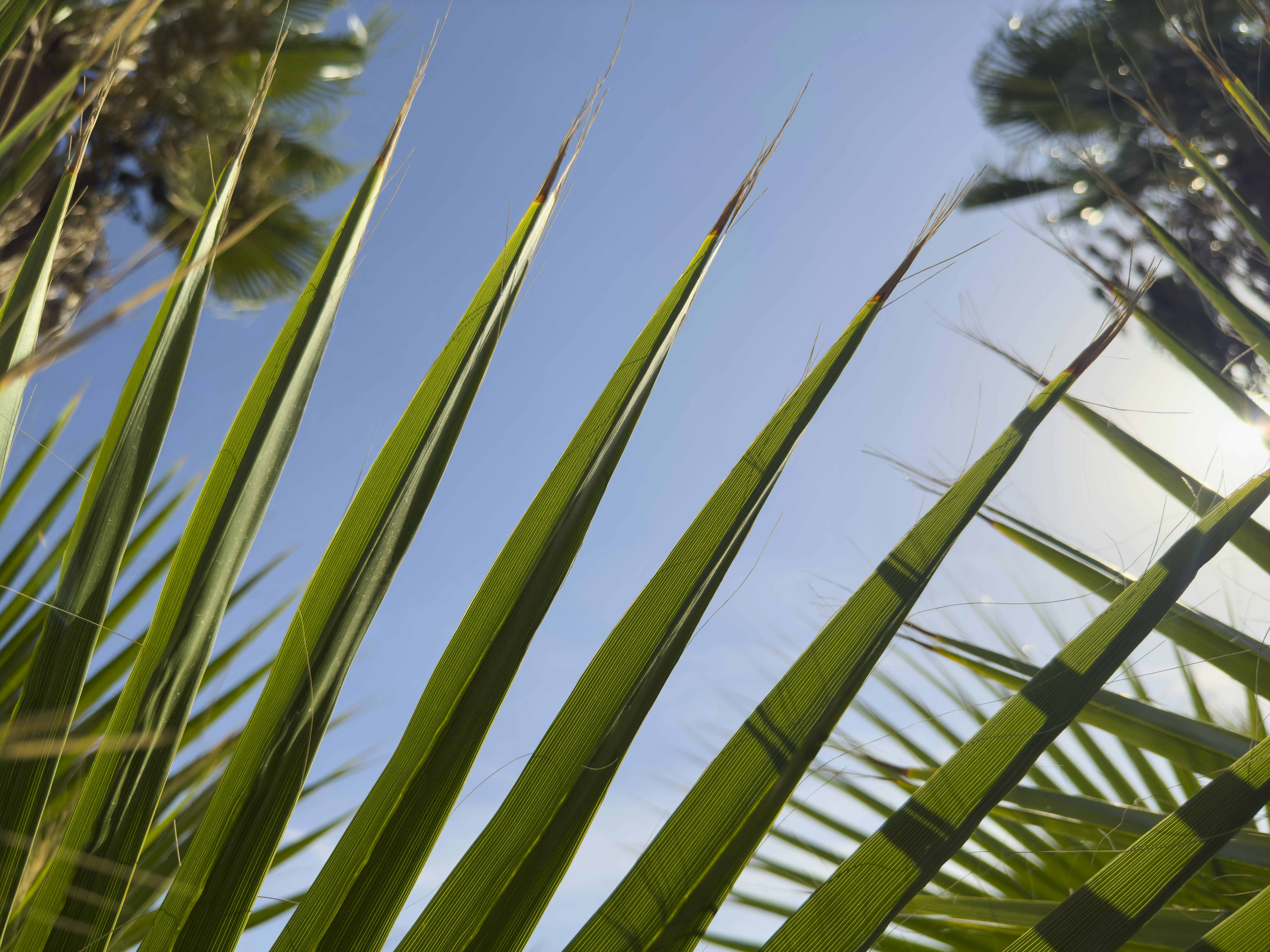 Photo by enginakyurt