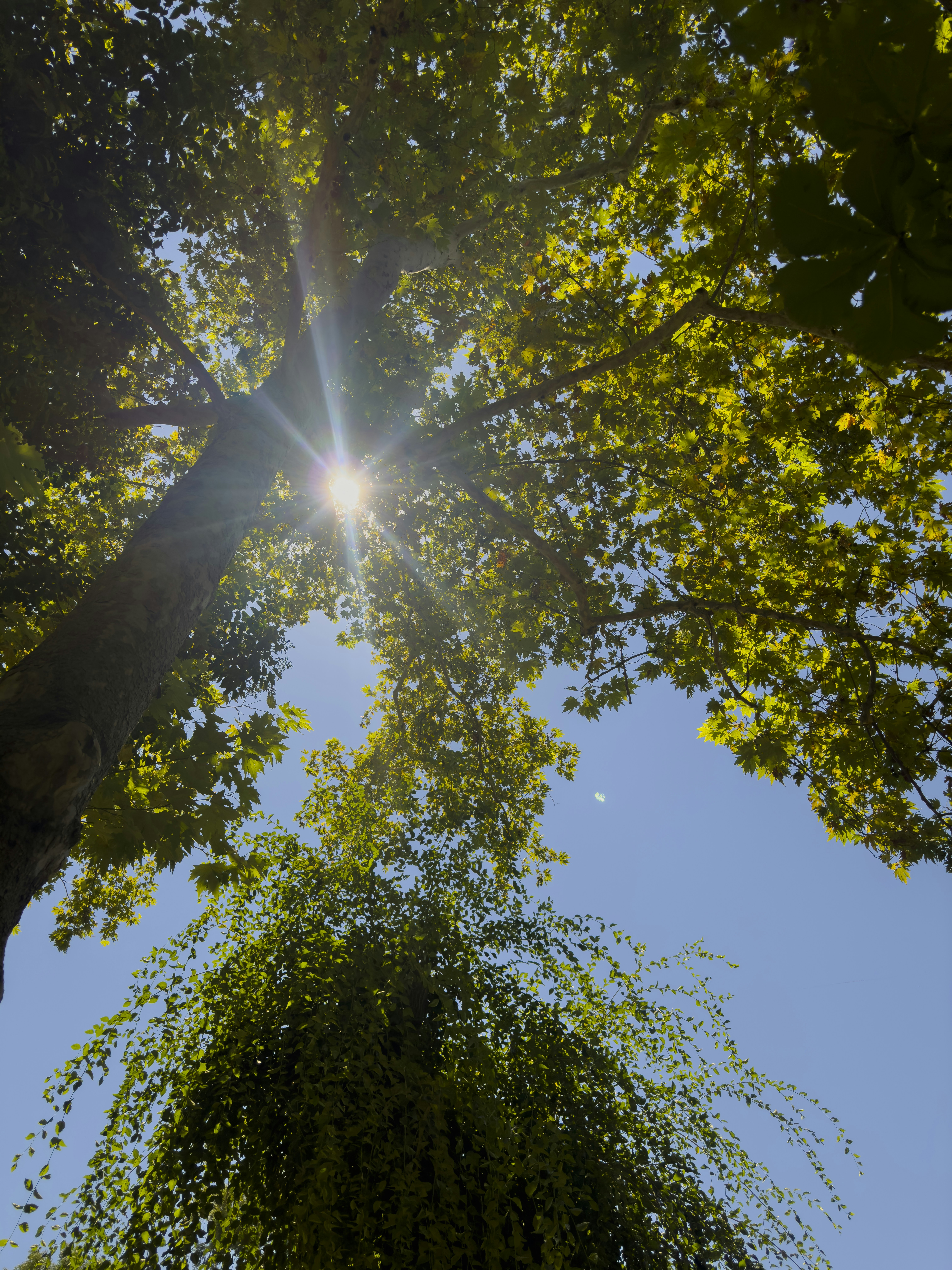 Photo by enginakyurt