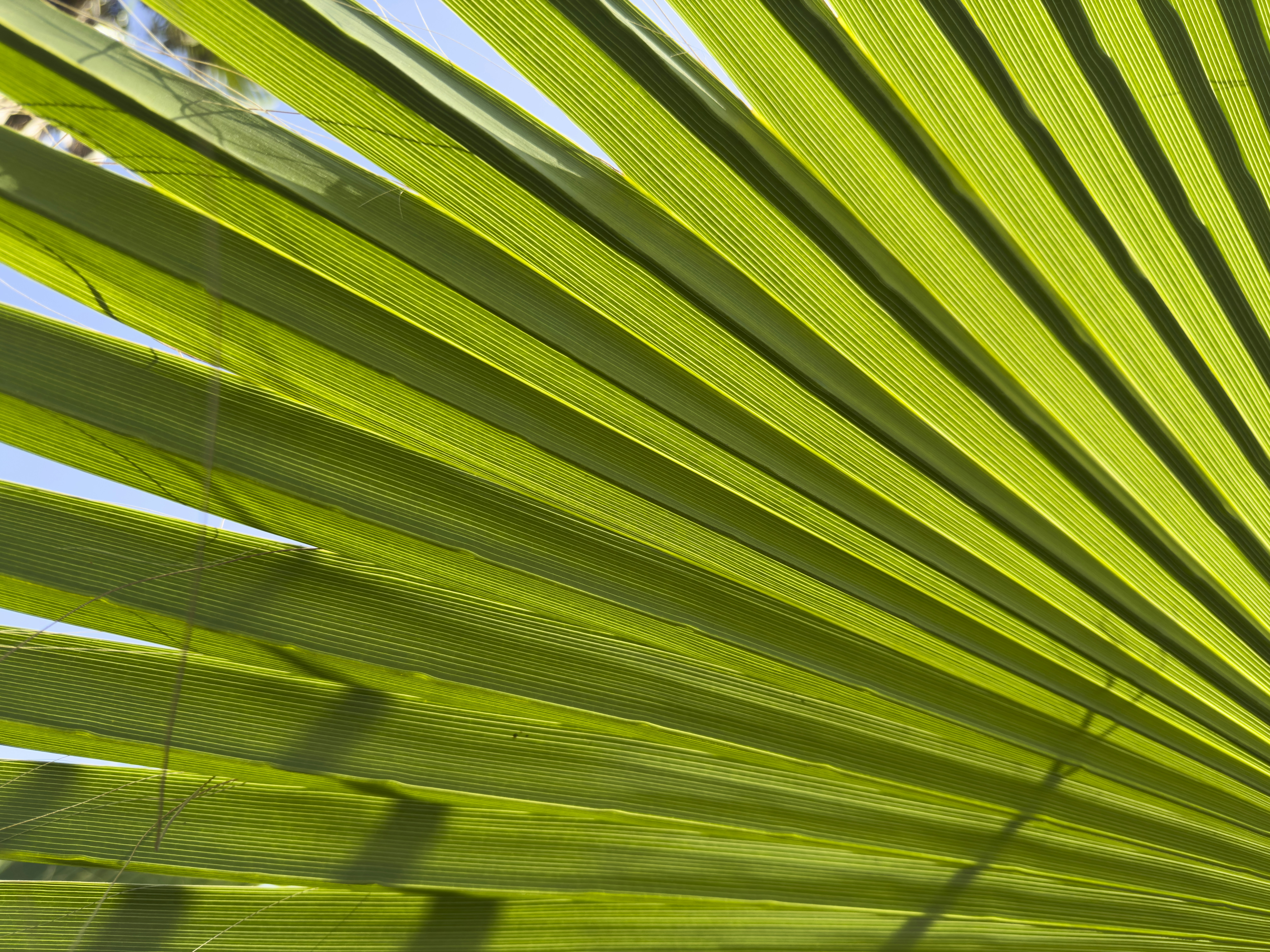 Photo by enginakyurt