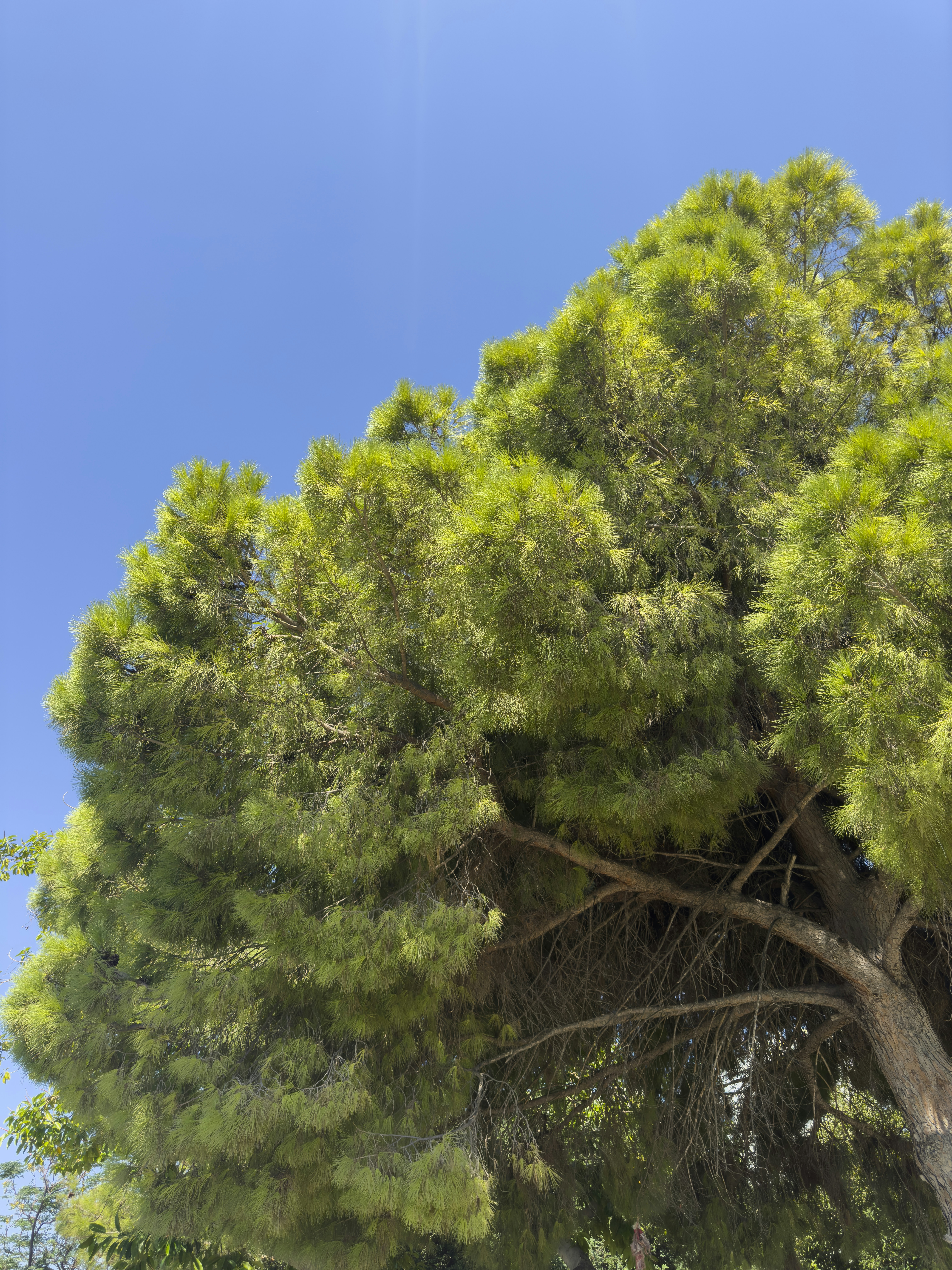 Photo by enginakyurt