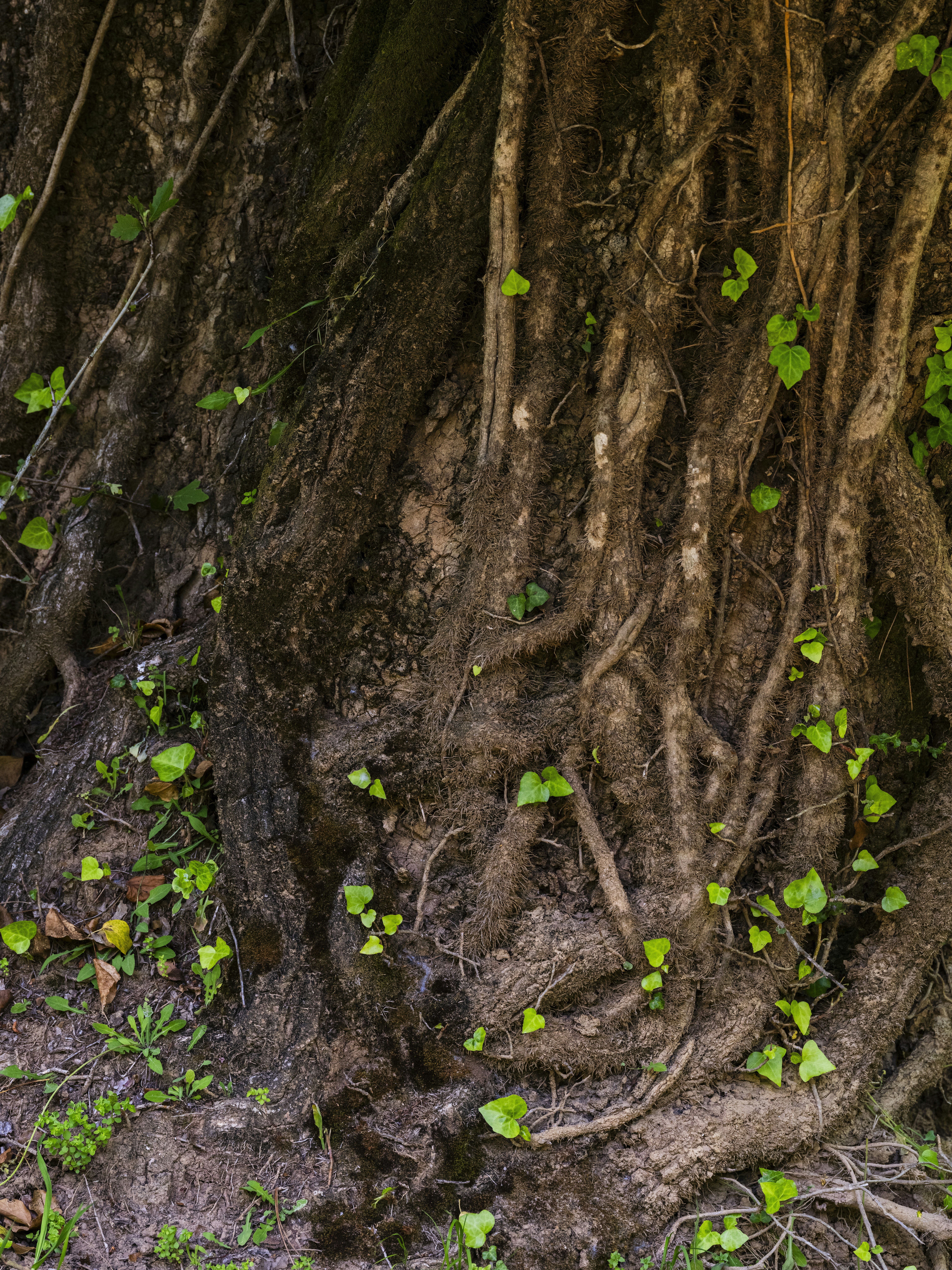 Photo by enginakyurt