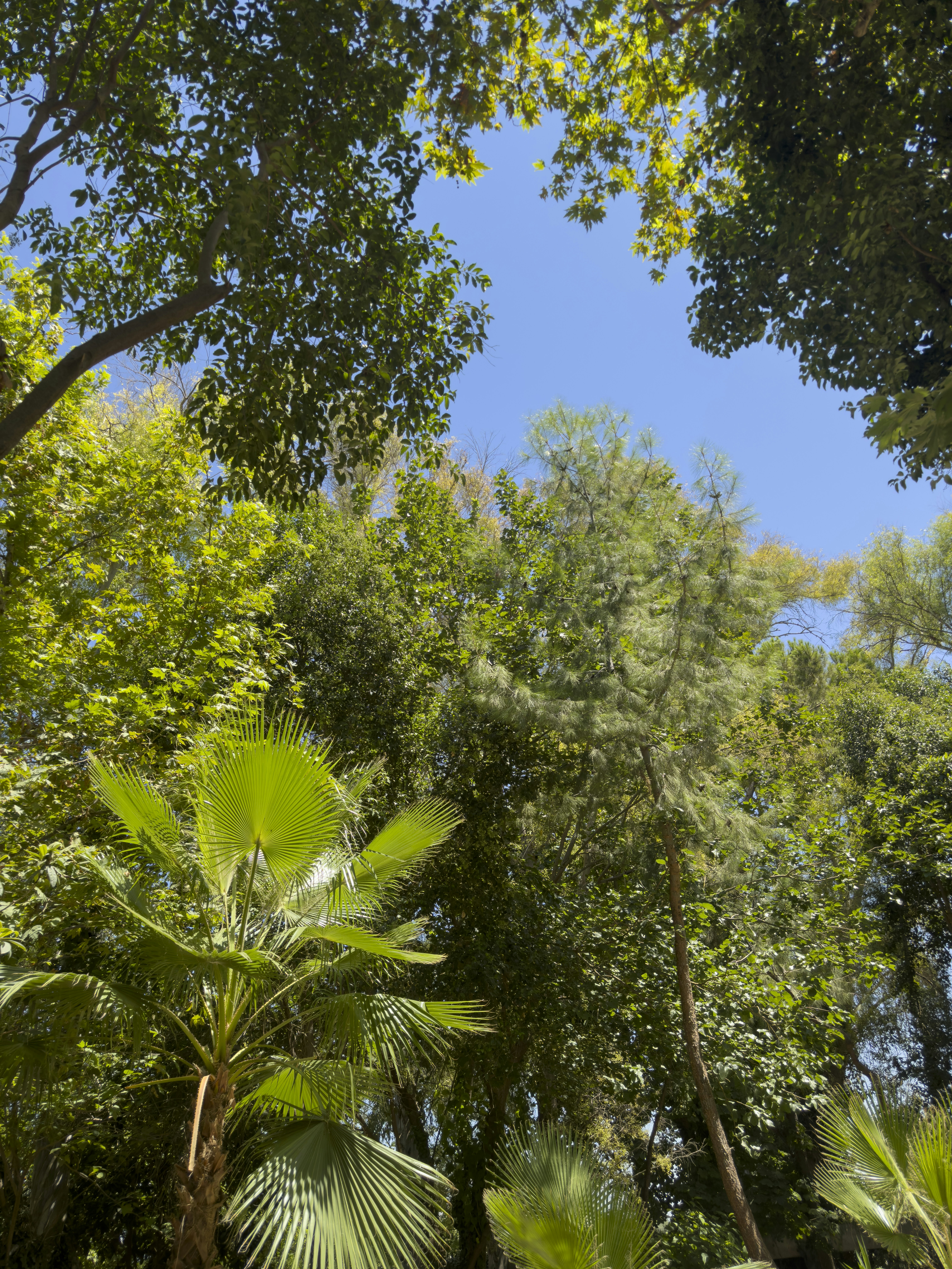 Photo by enginakyurt