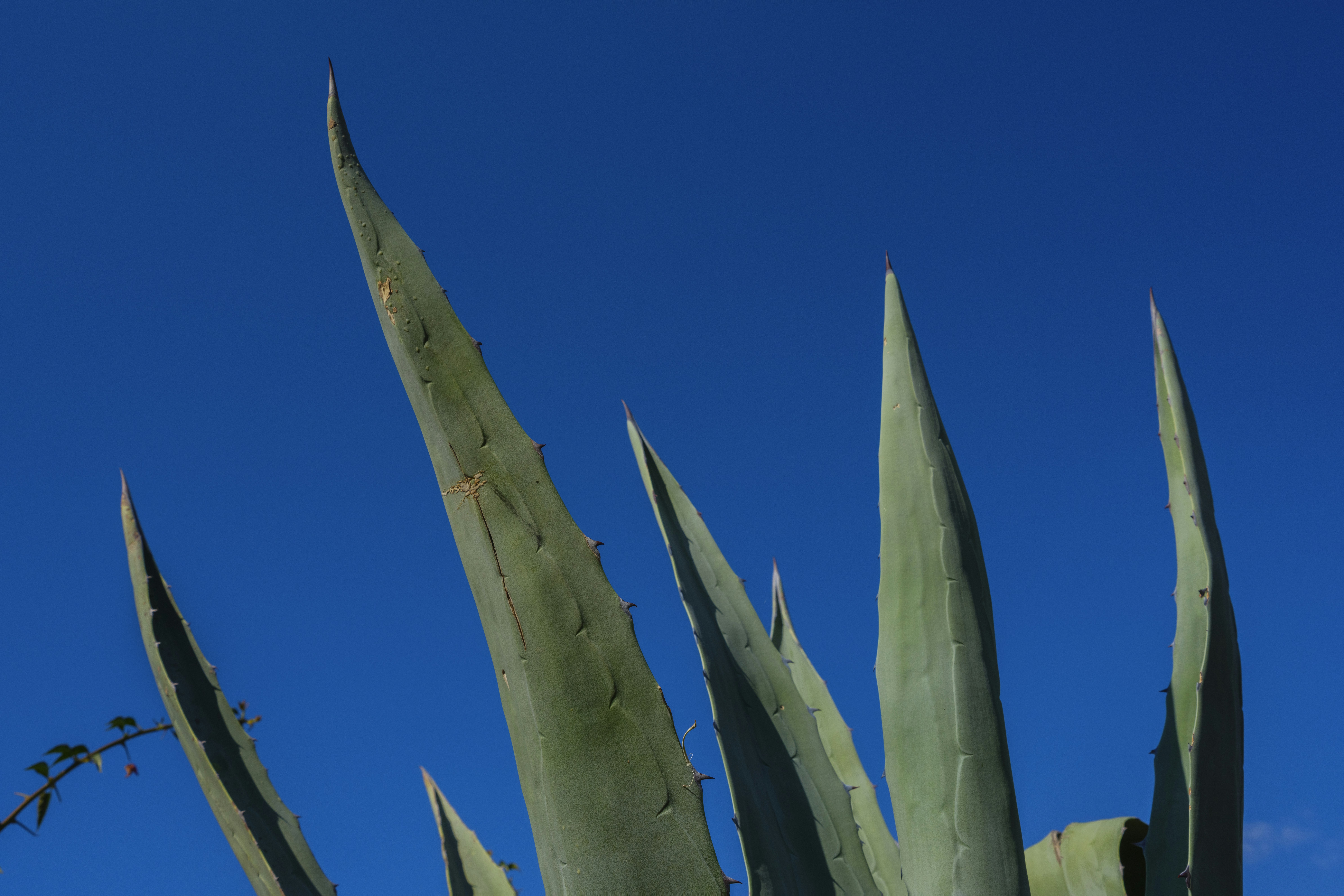 Photo by enginakyurt