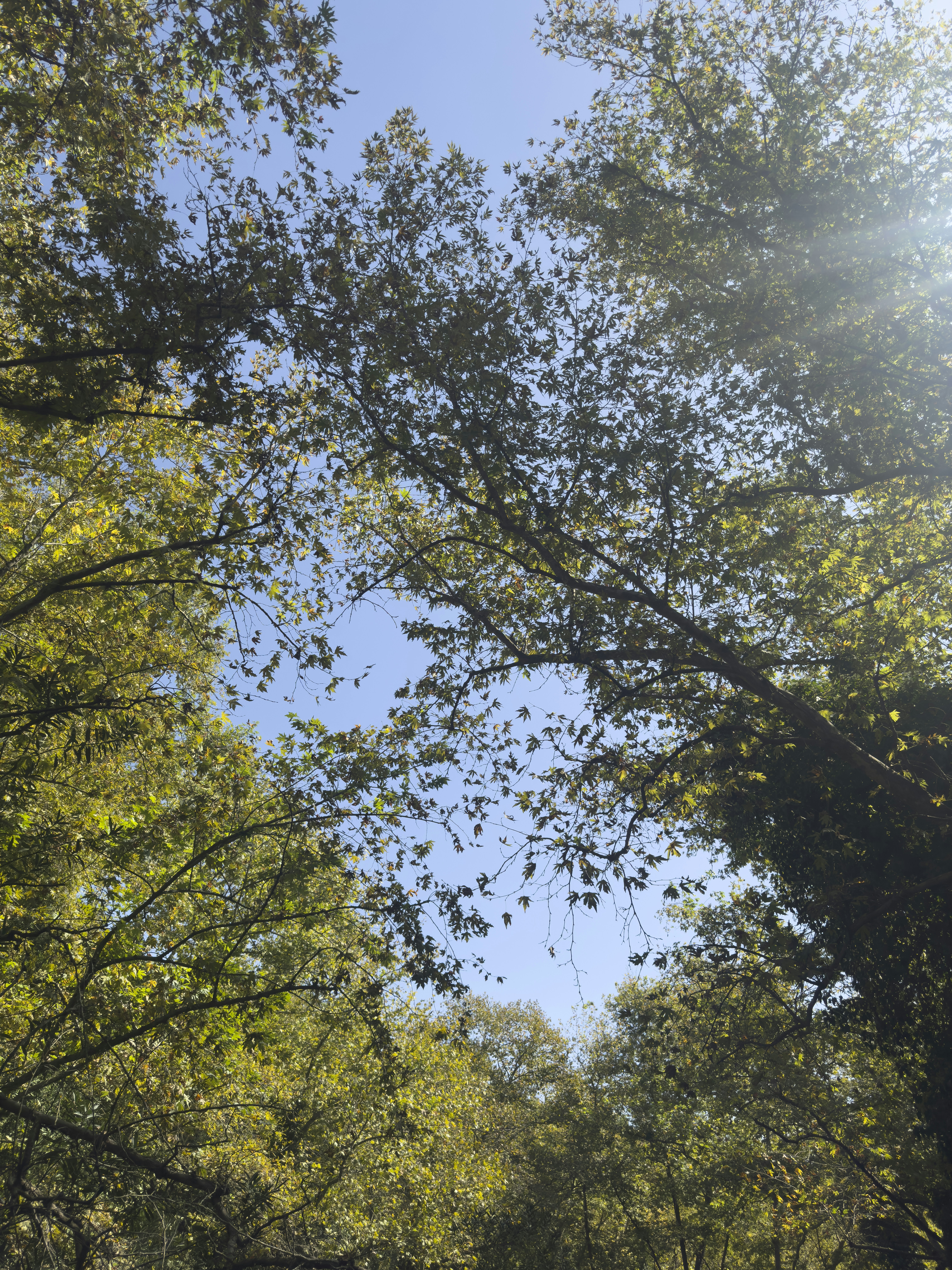 Photo by enginakyurt