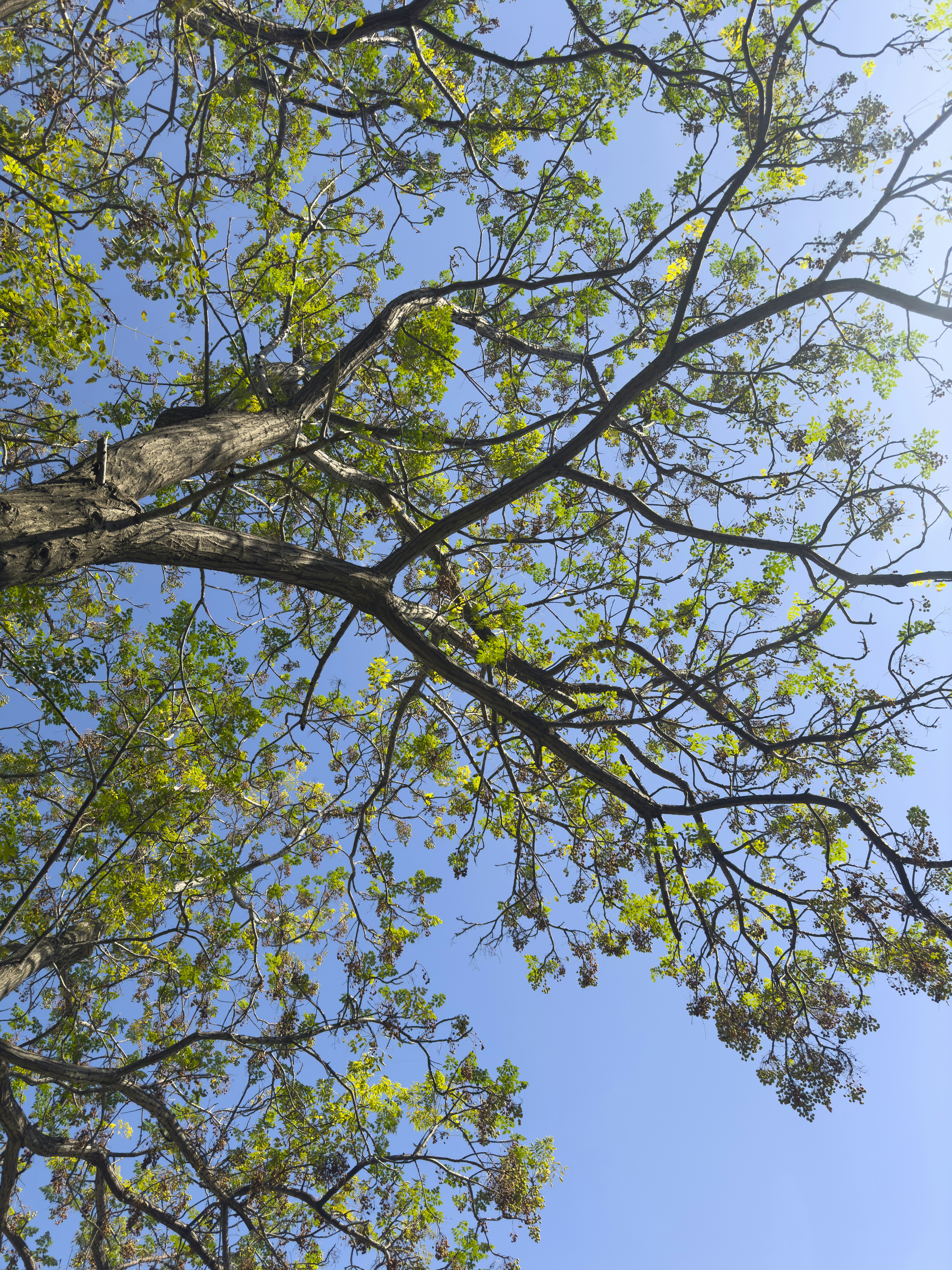 Photo by enginakyurt