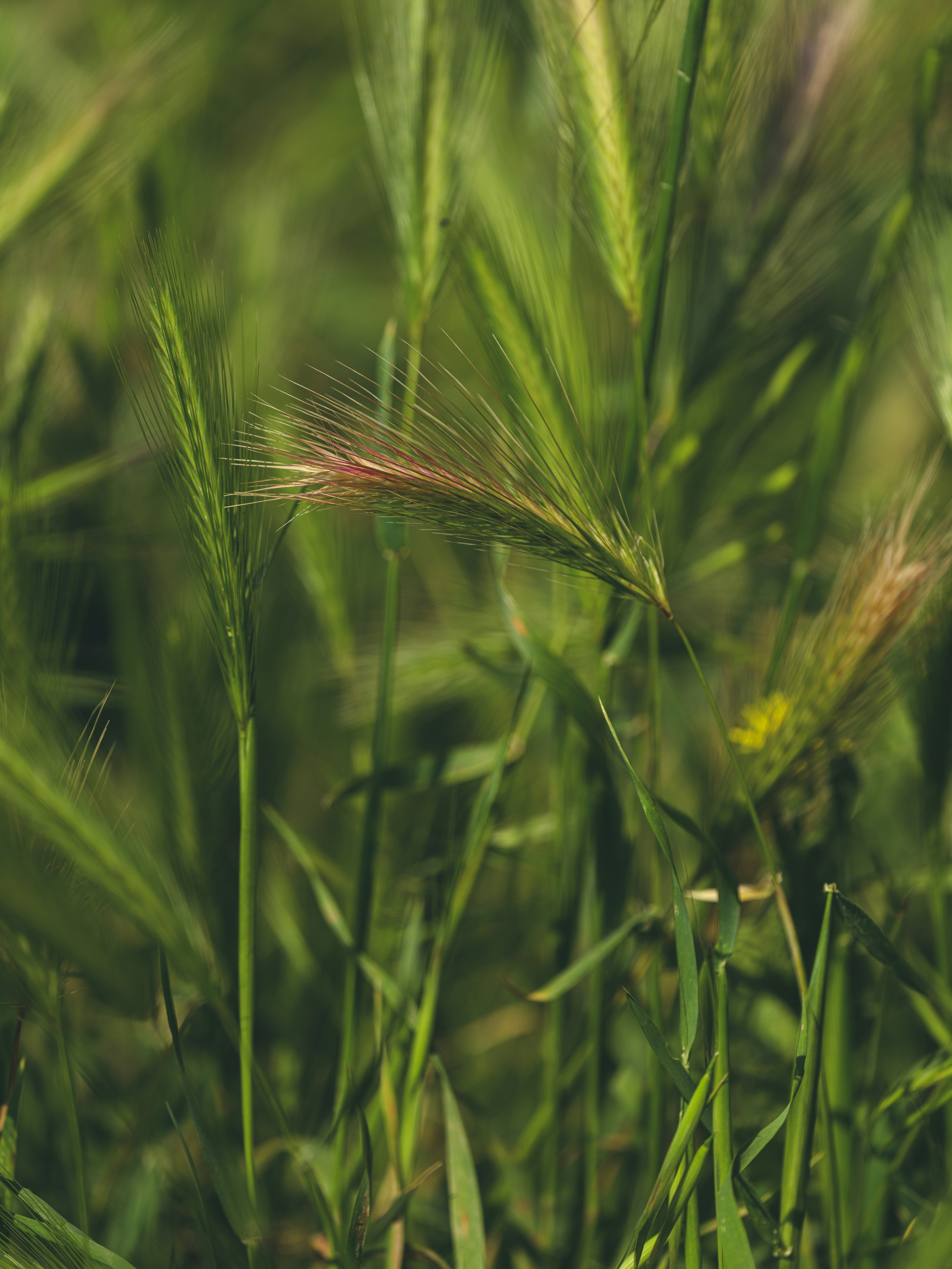 Photo by enginakyurt