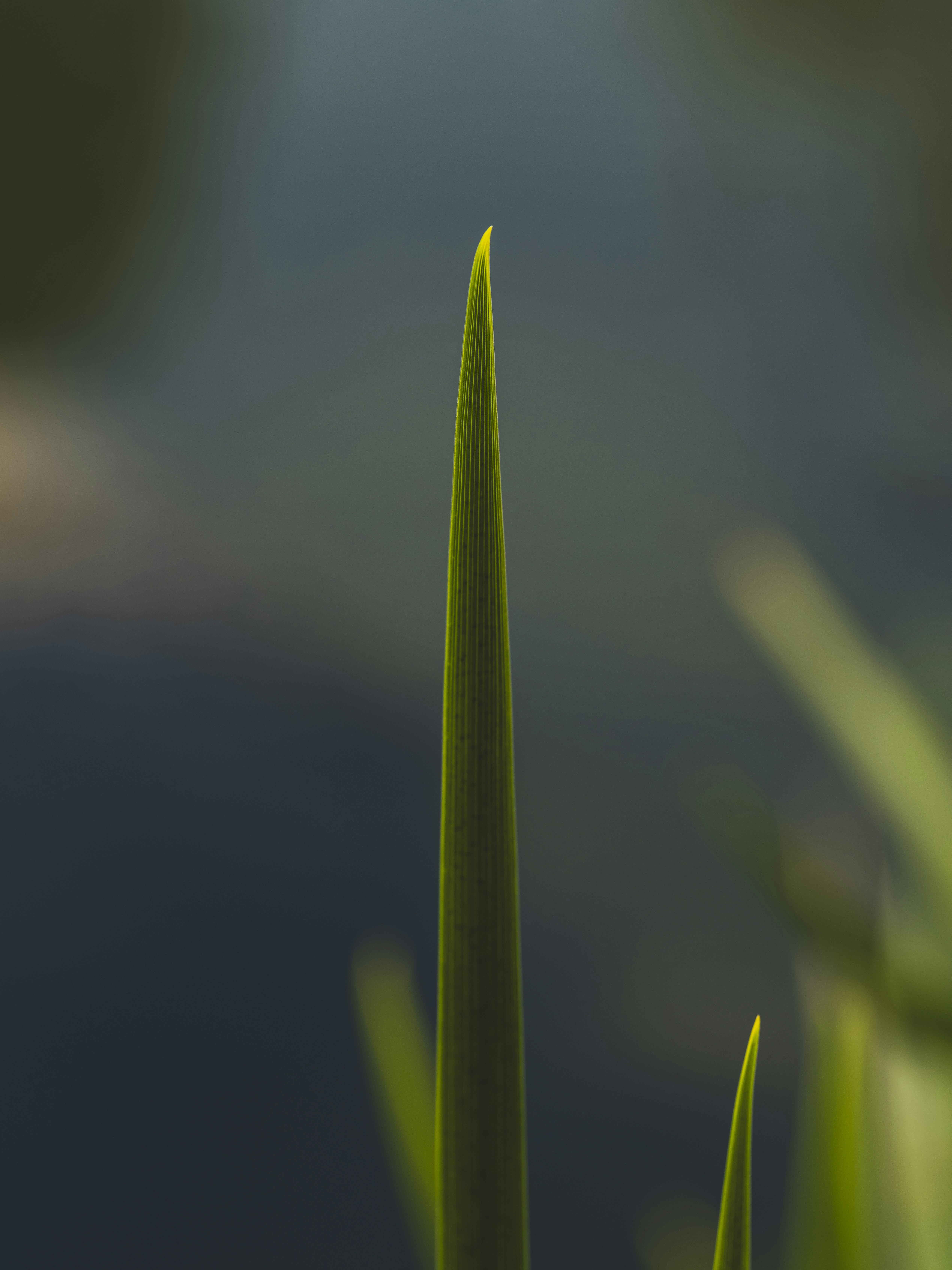 Photo by enginakyurt