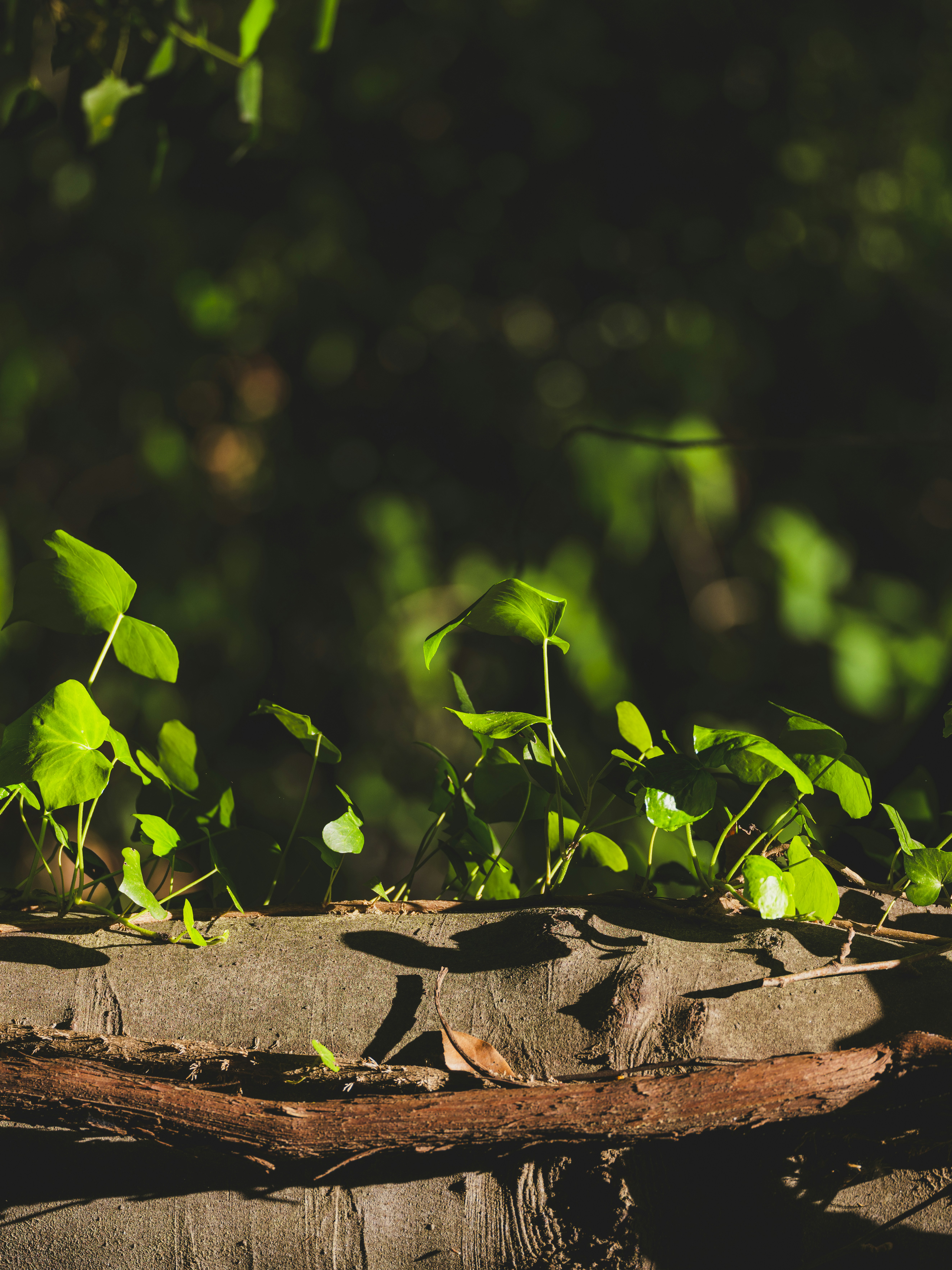 Photo by enginakyurt