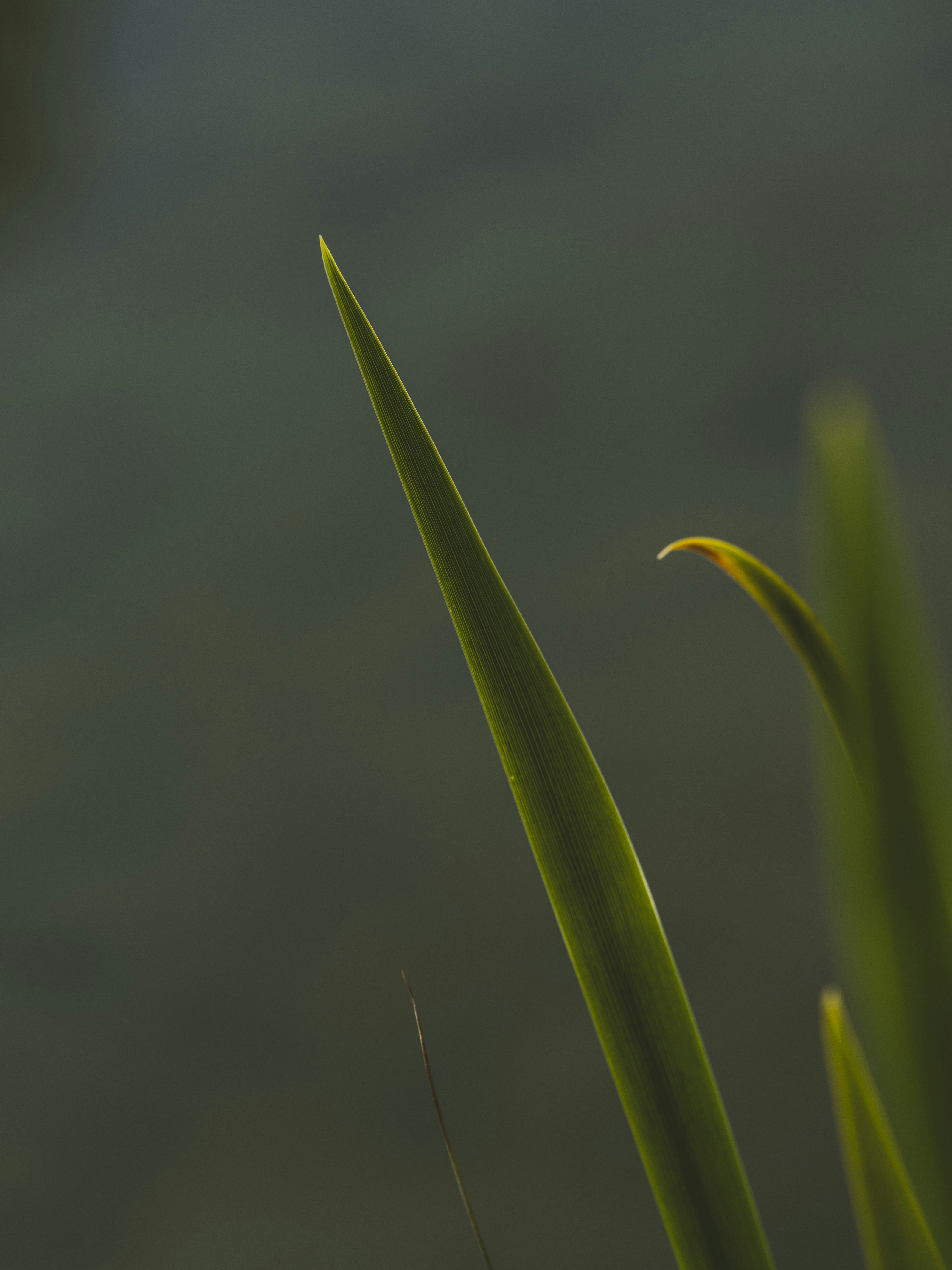 Photo by enginakyurt