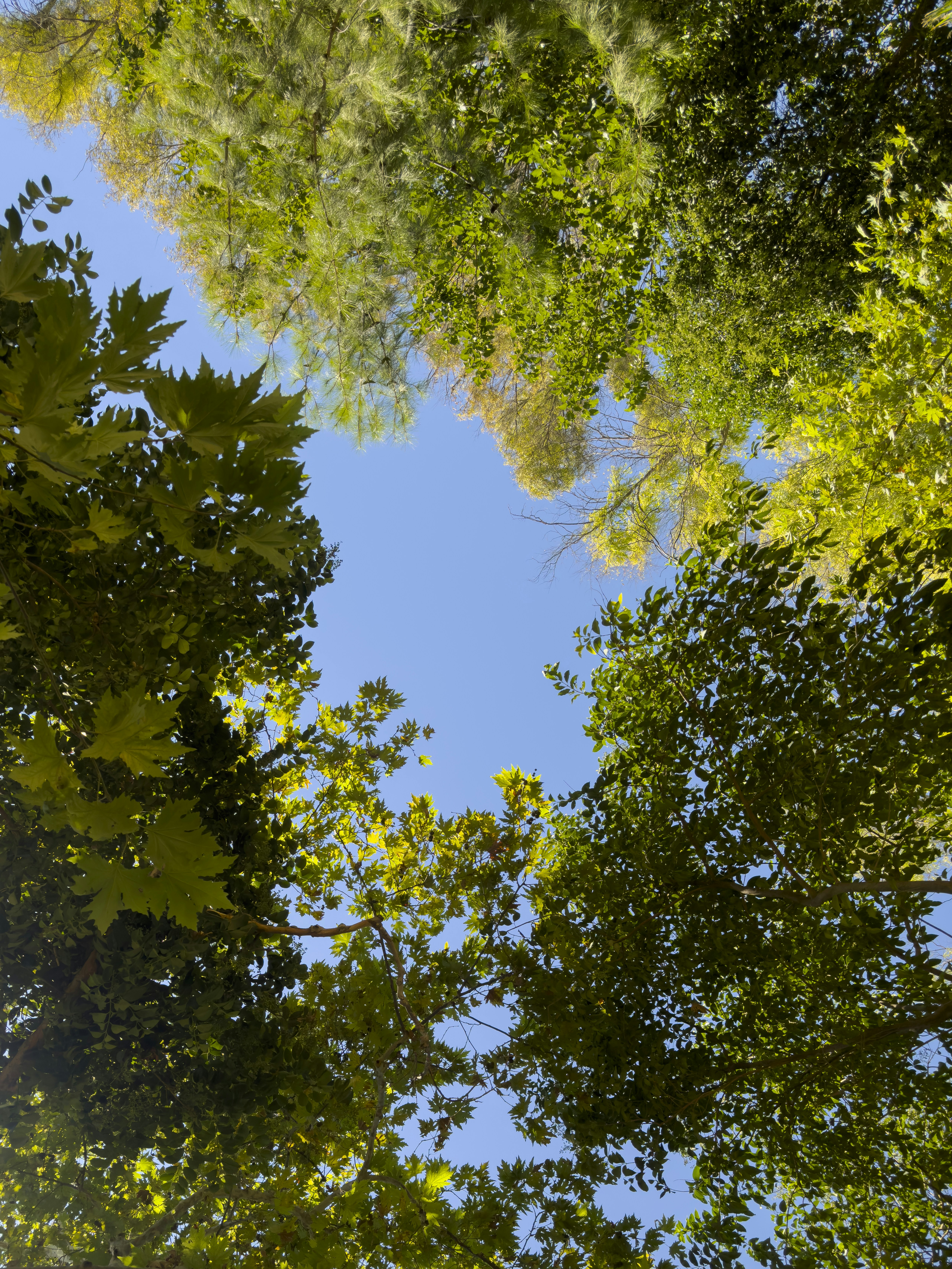 Photo by enginakyurt