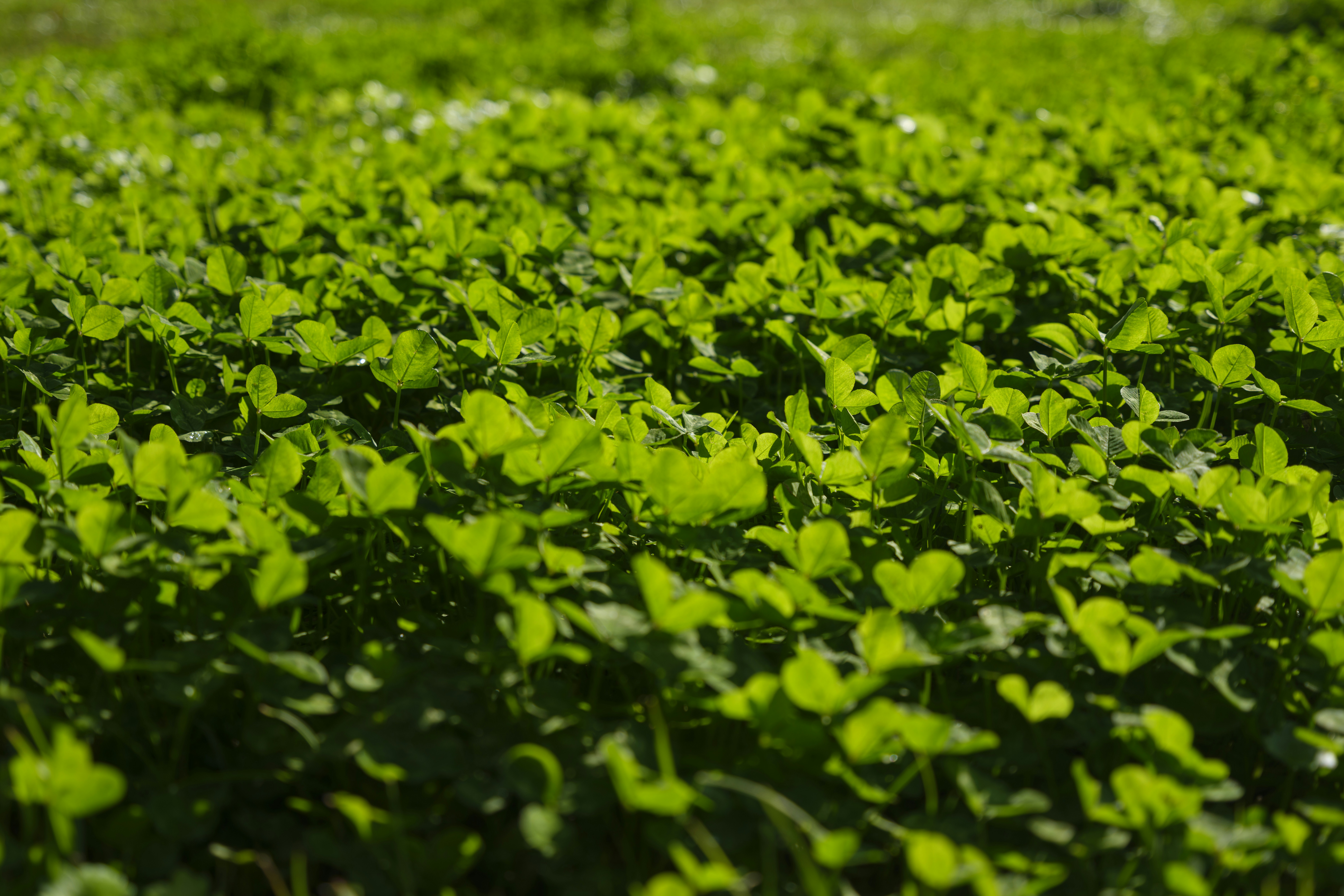 Photo by enginakyurt