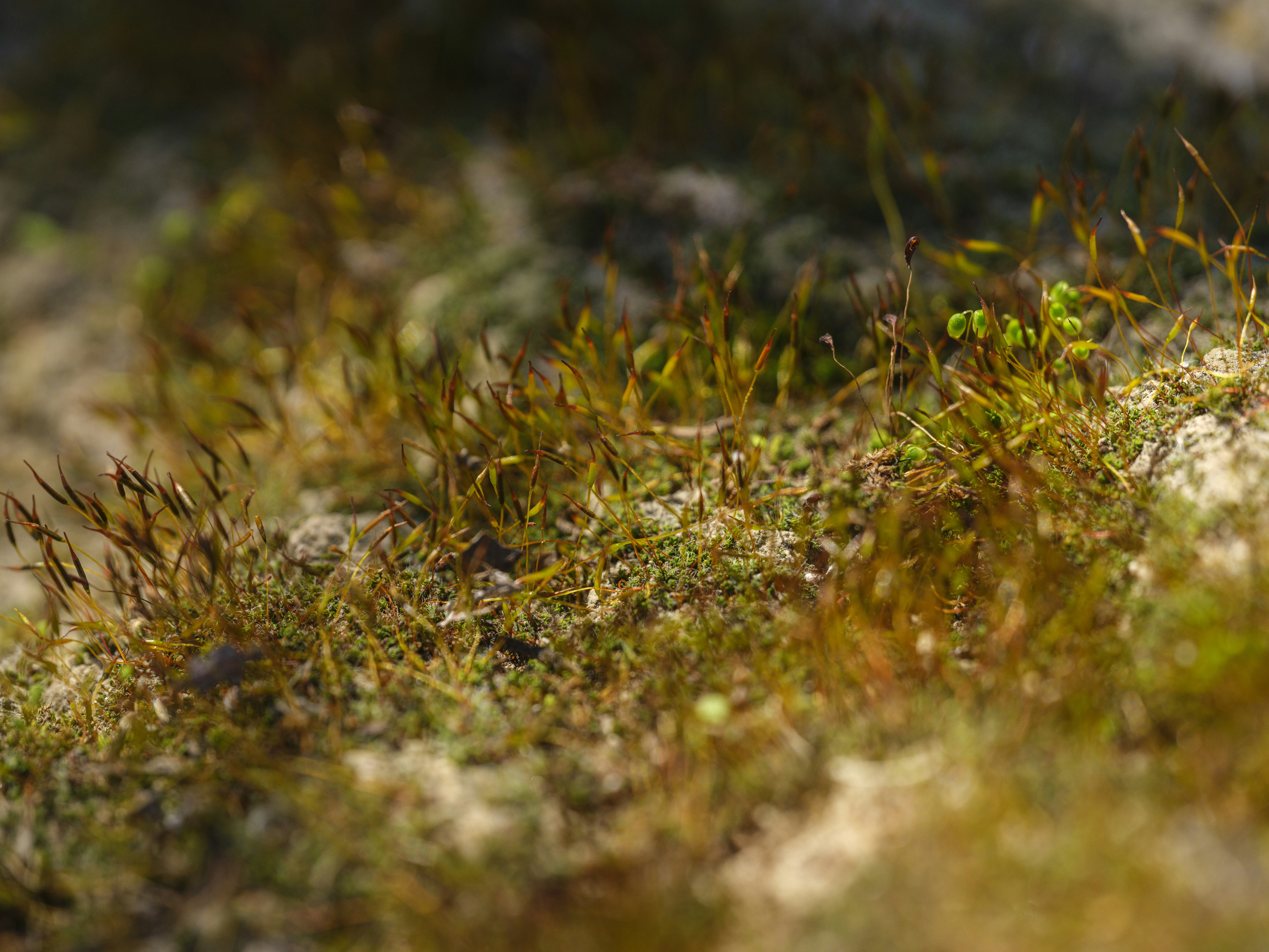 Photo by enginakyurt