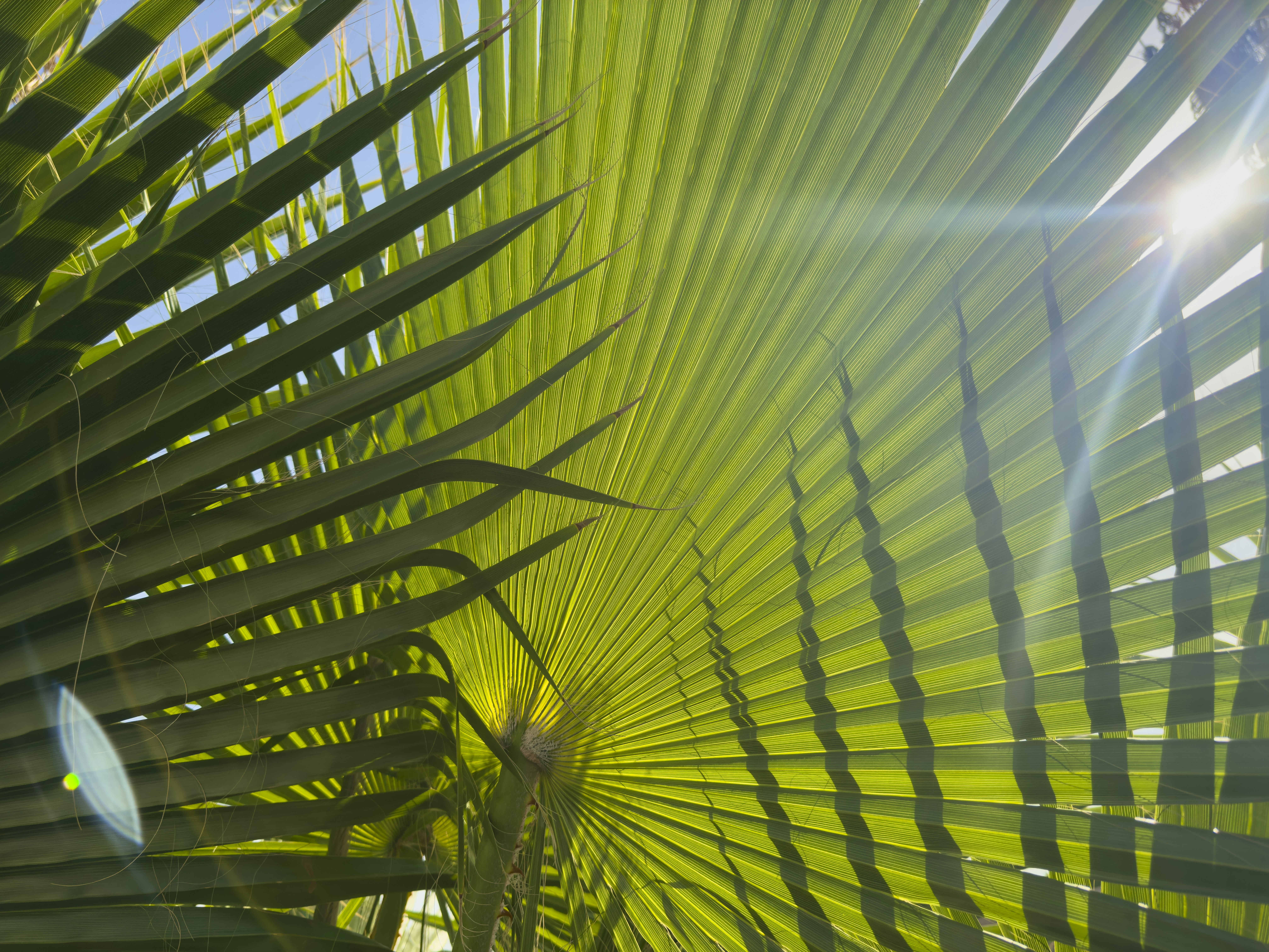 Photo by enginakyurt