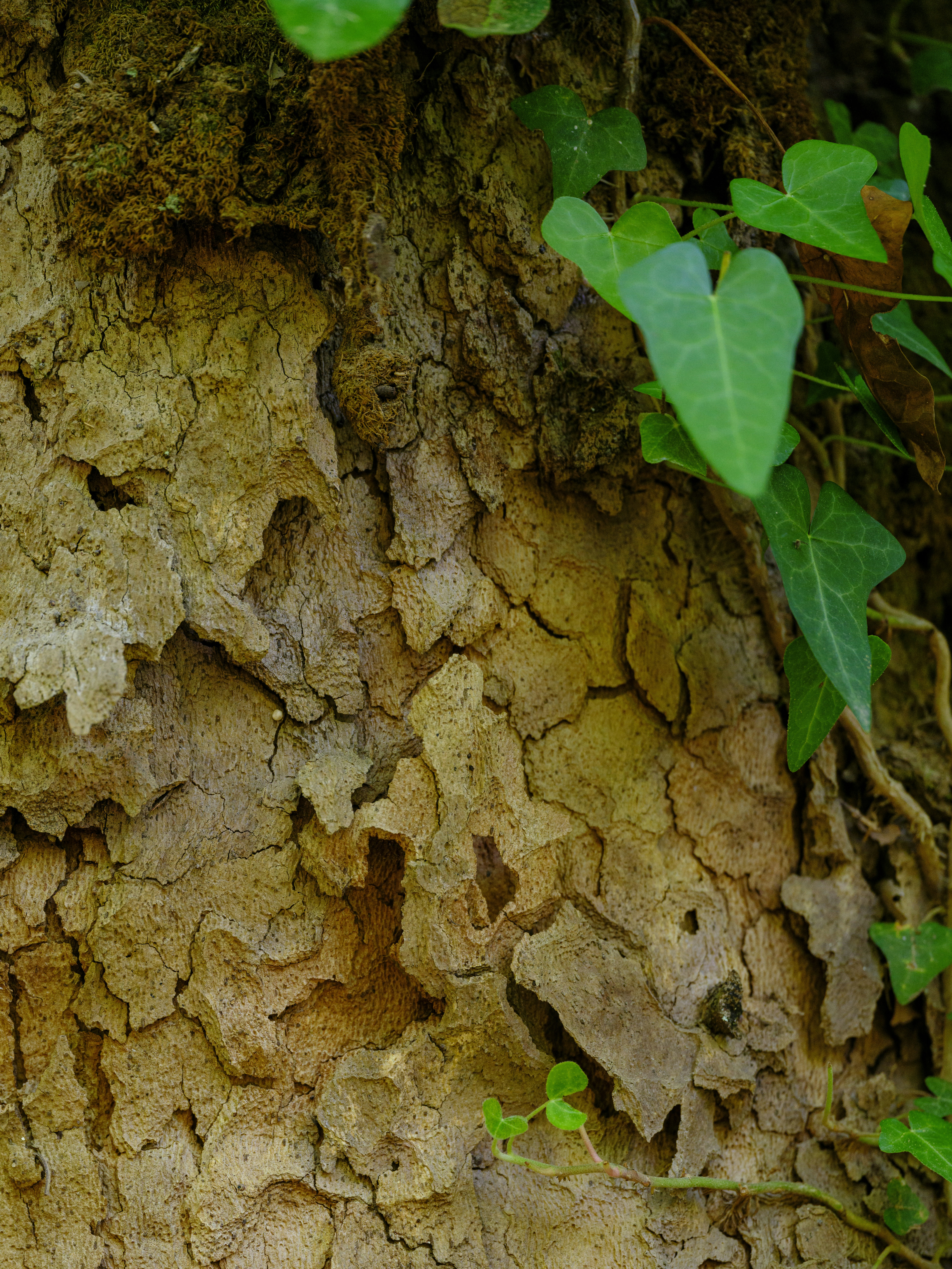 Photo by enginakyurt