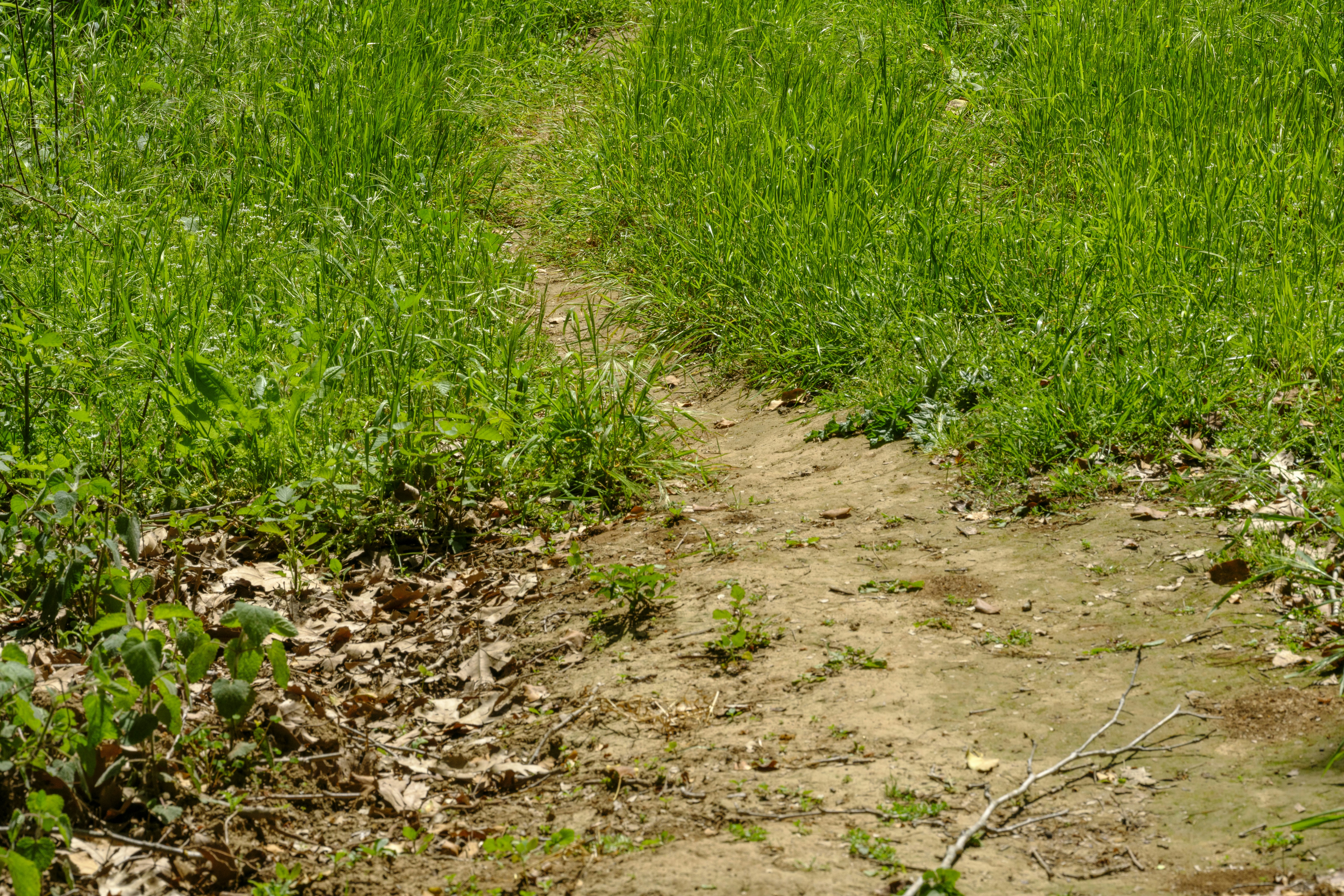 Photo by enginakyurt