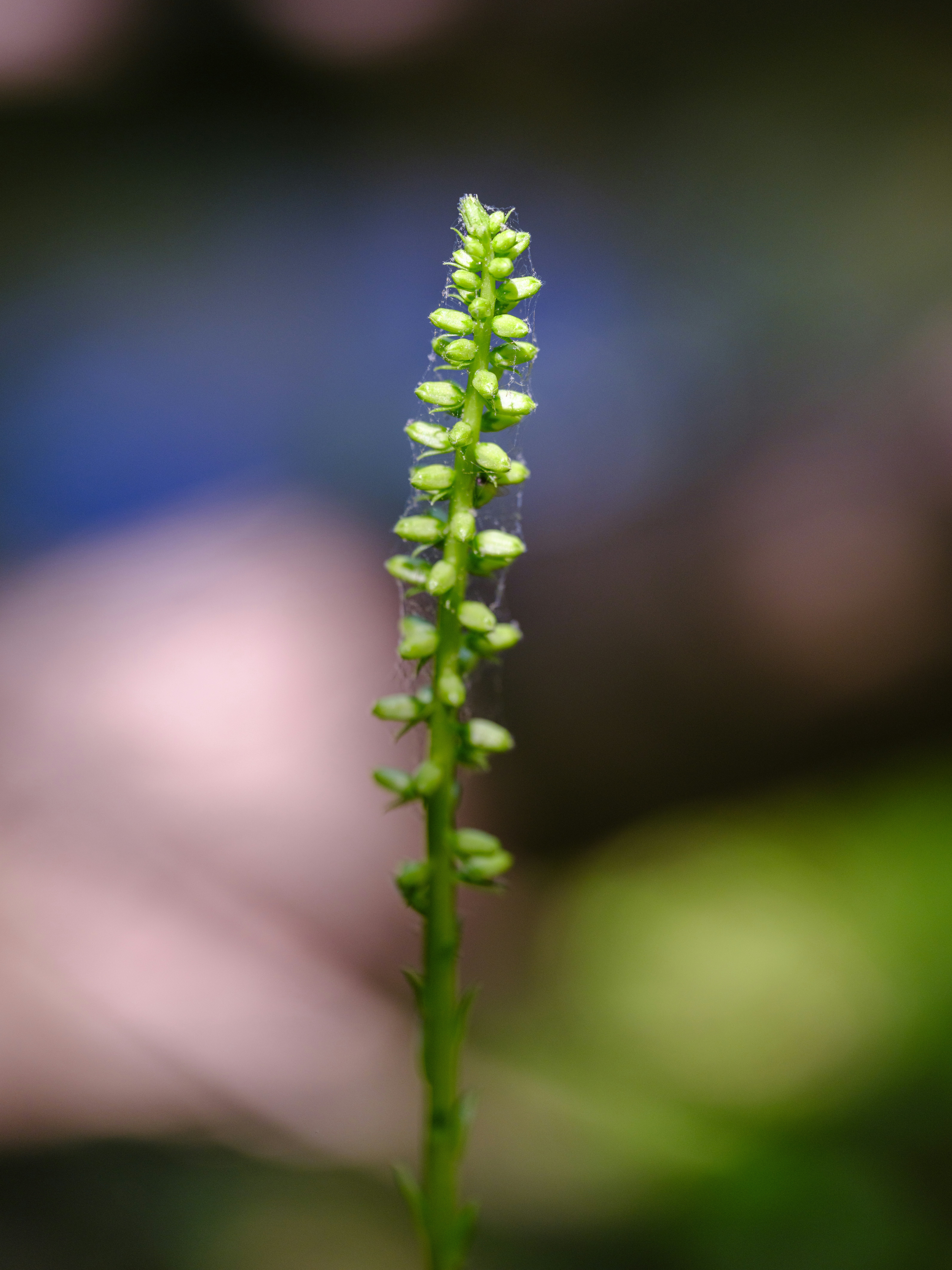 Photo by enginakyurt