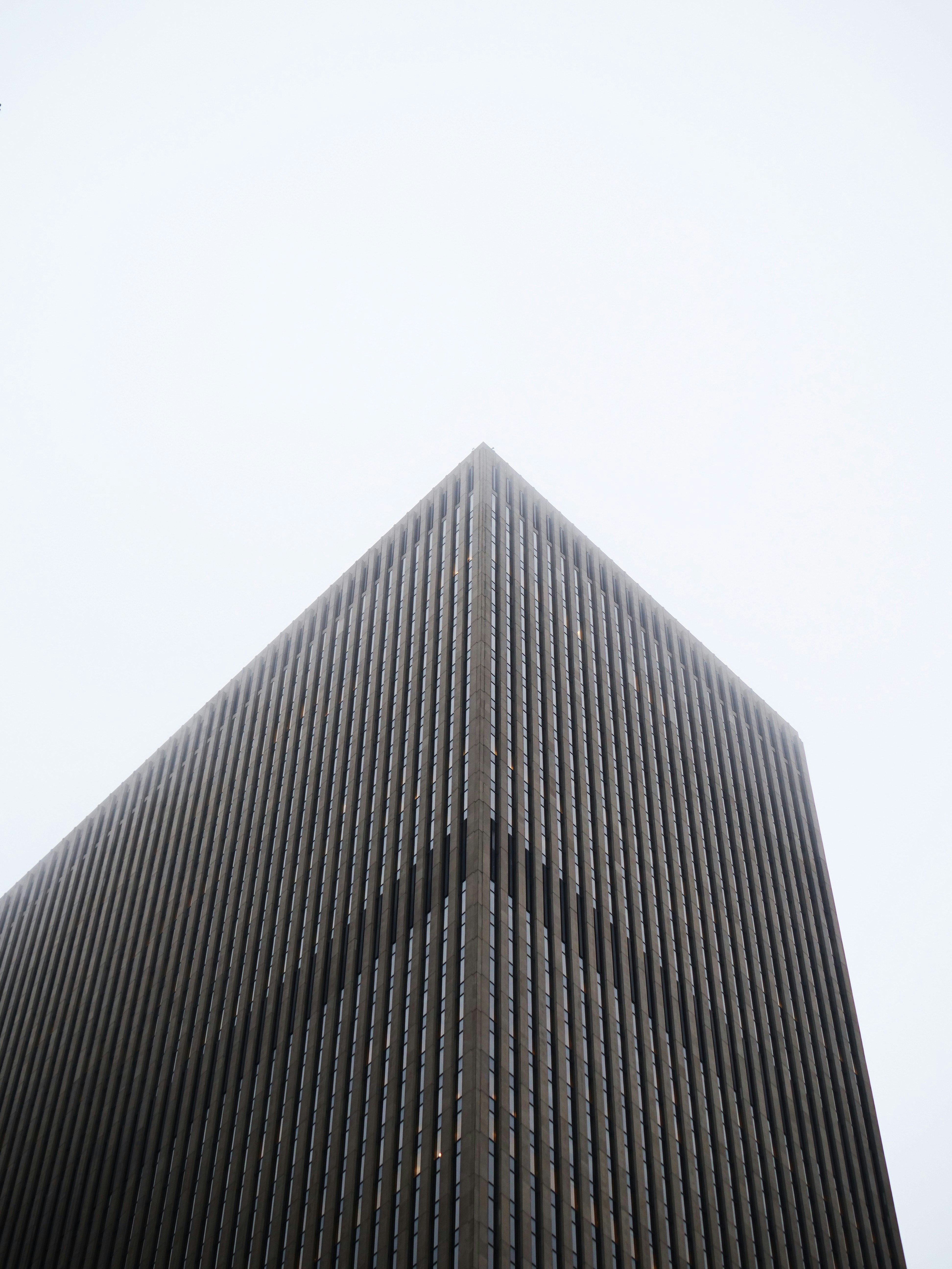 Photo by nimbus_vulpis