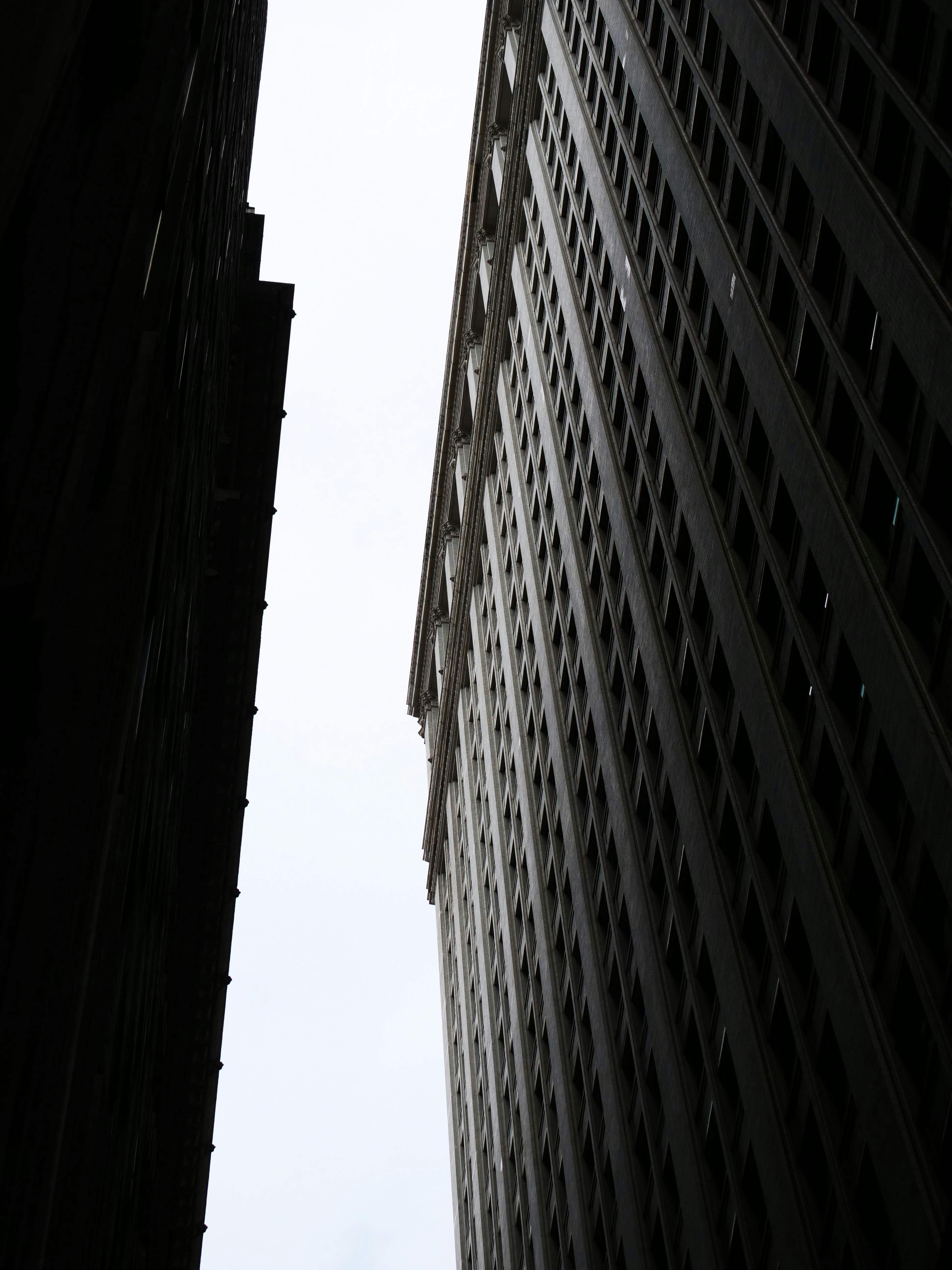 Photo by nimbus_vulpis