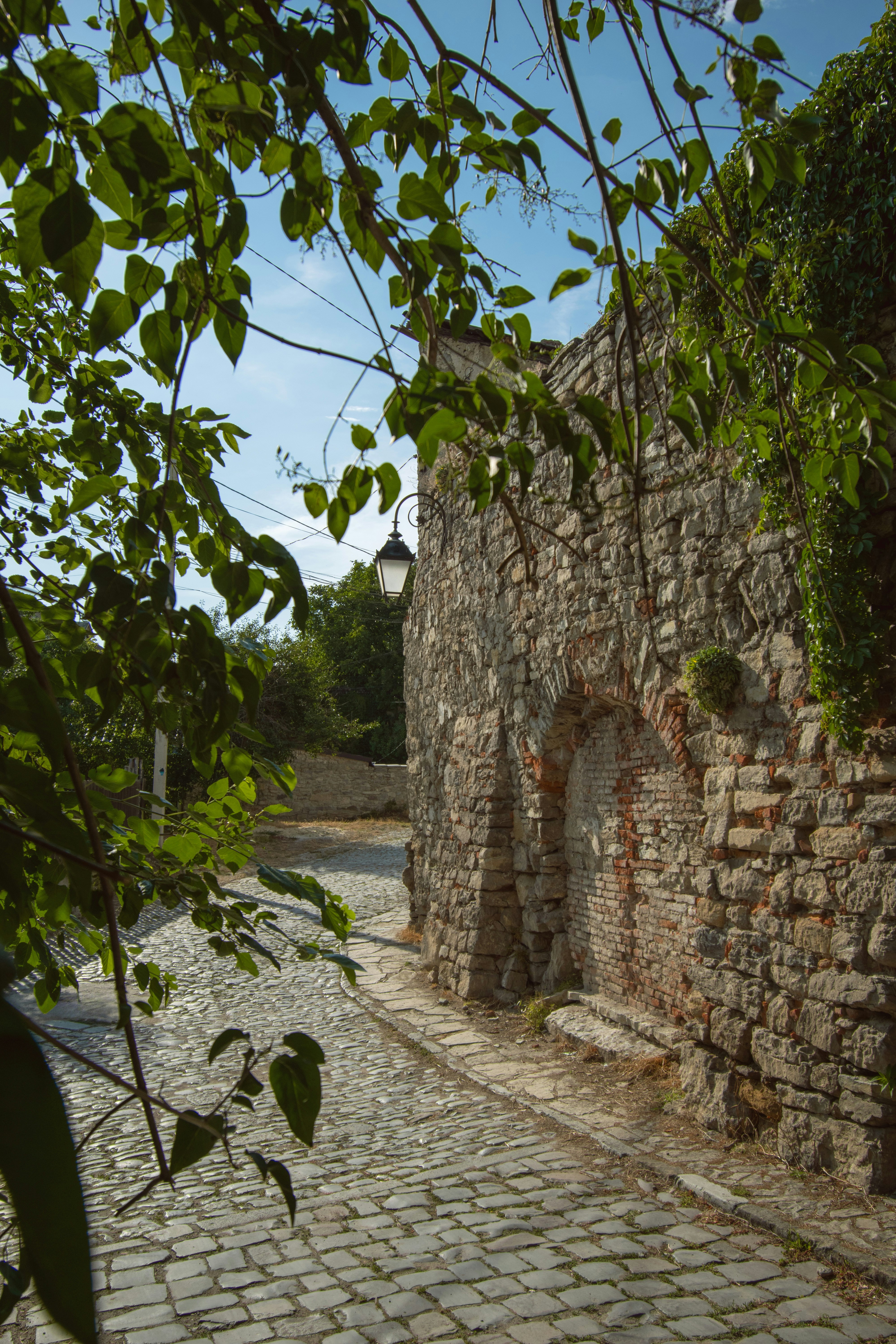 Photo by karynaviktori