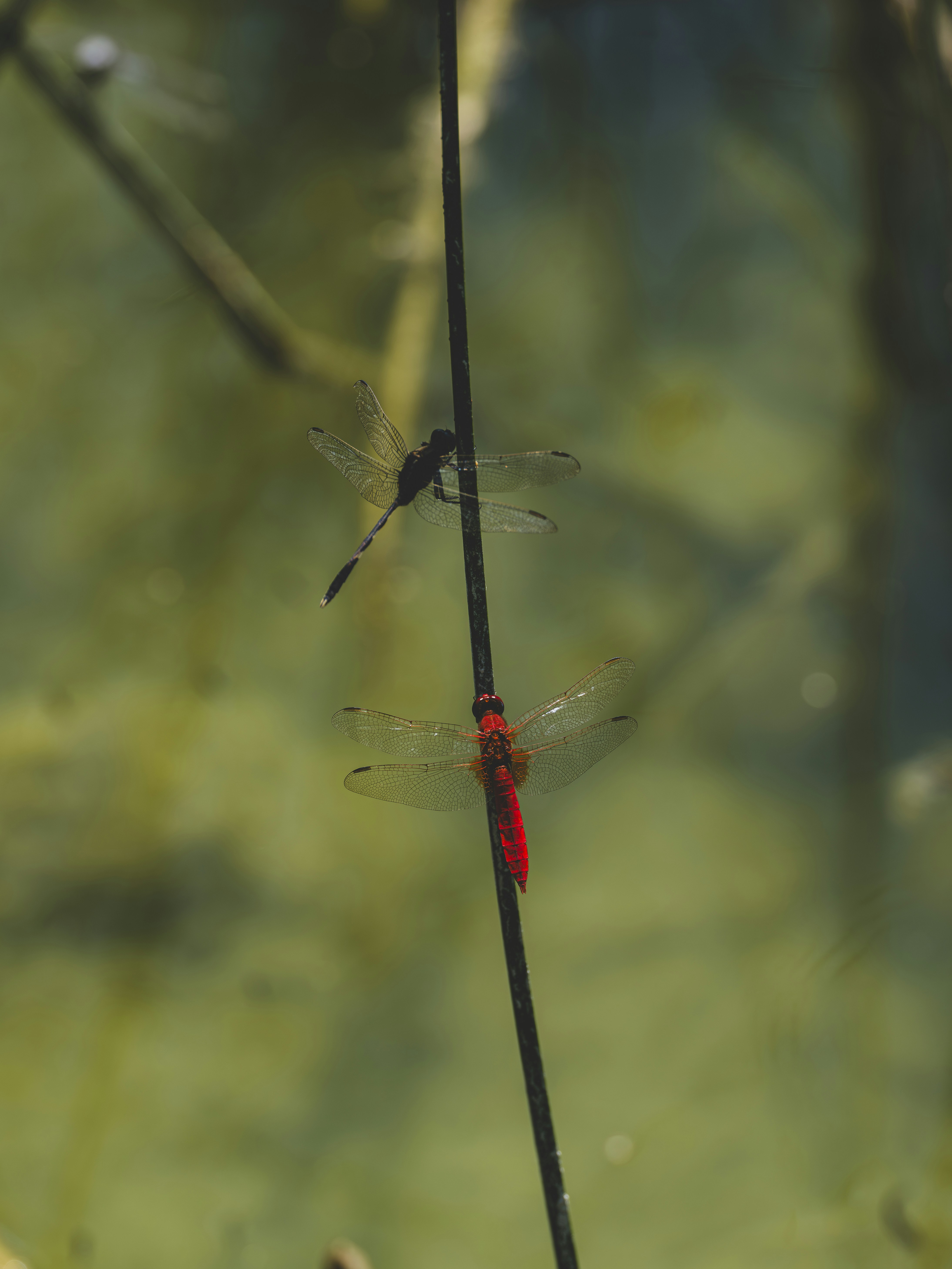 Photo by enginakyurt