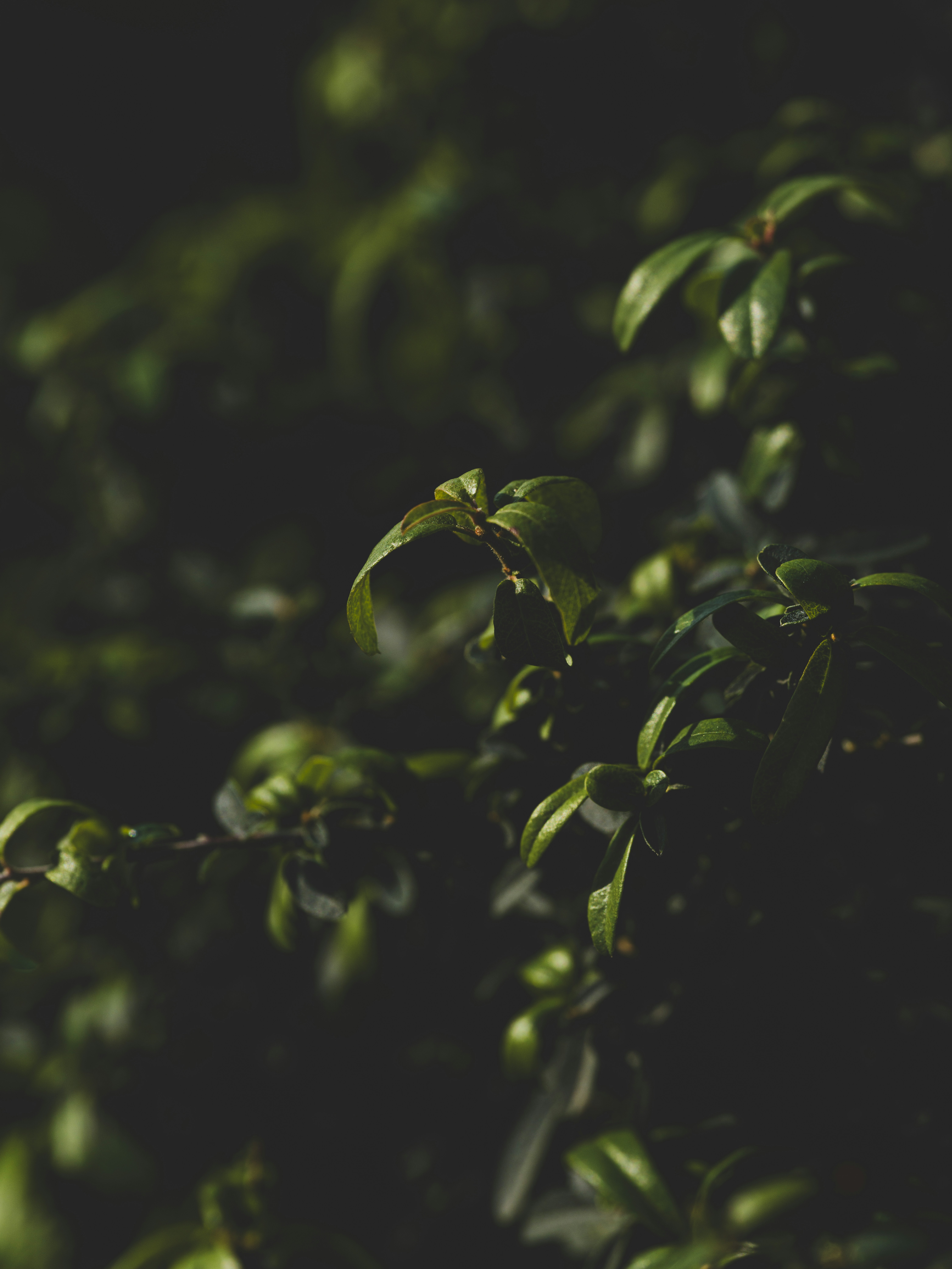 Photo by enginakyurt