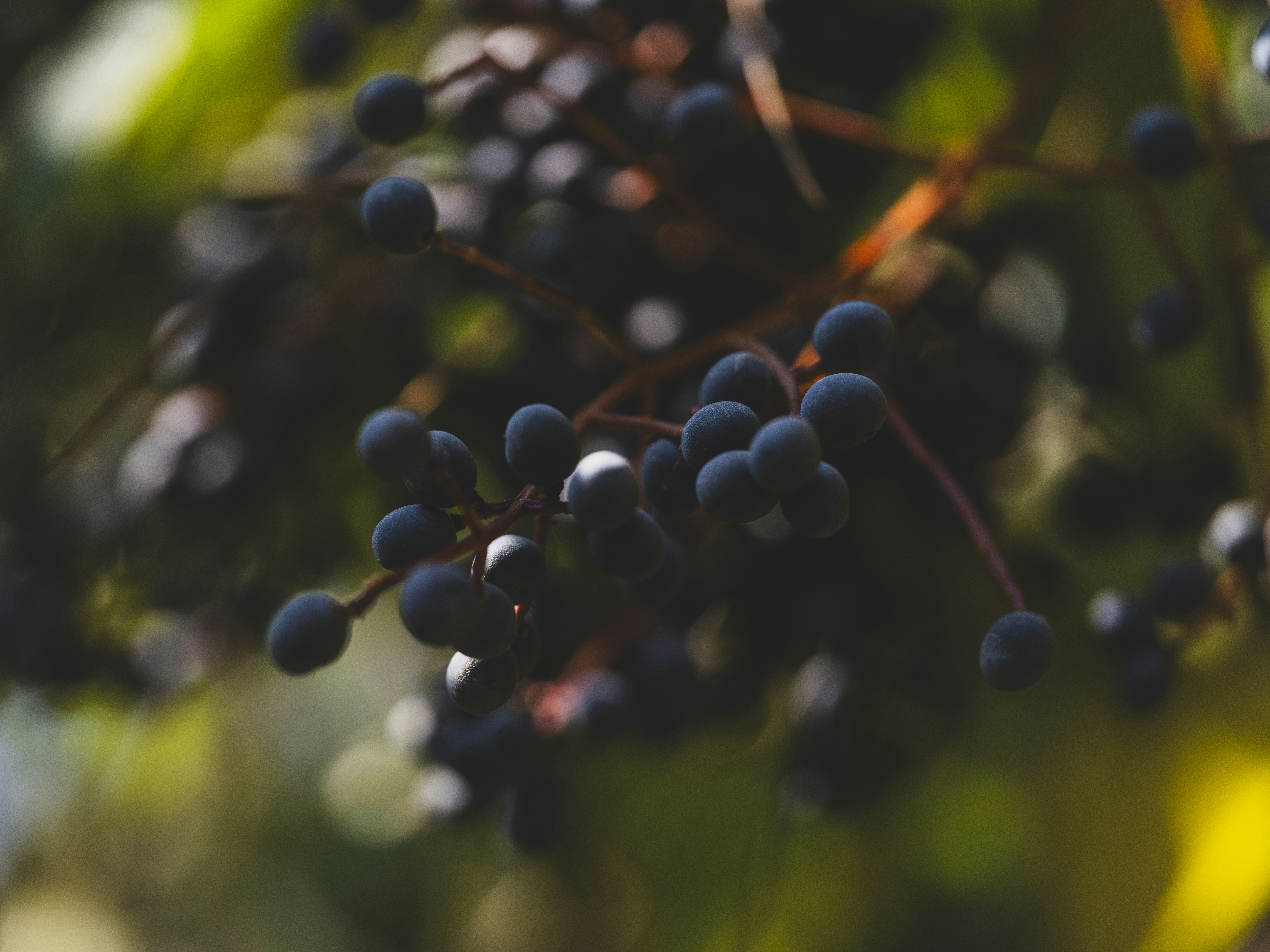 Photo by enginakyurt