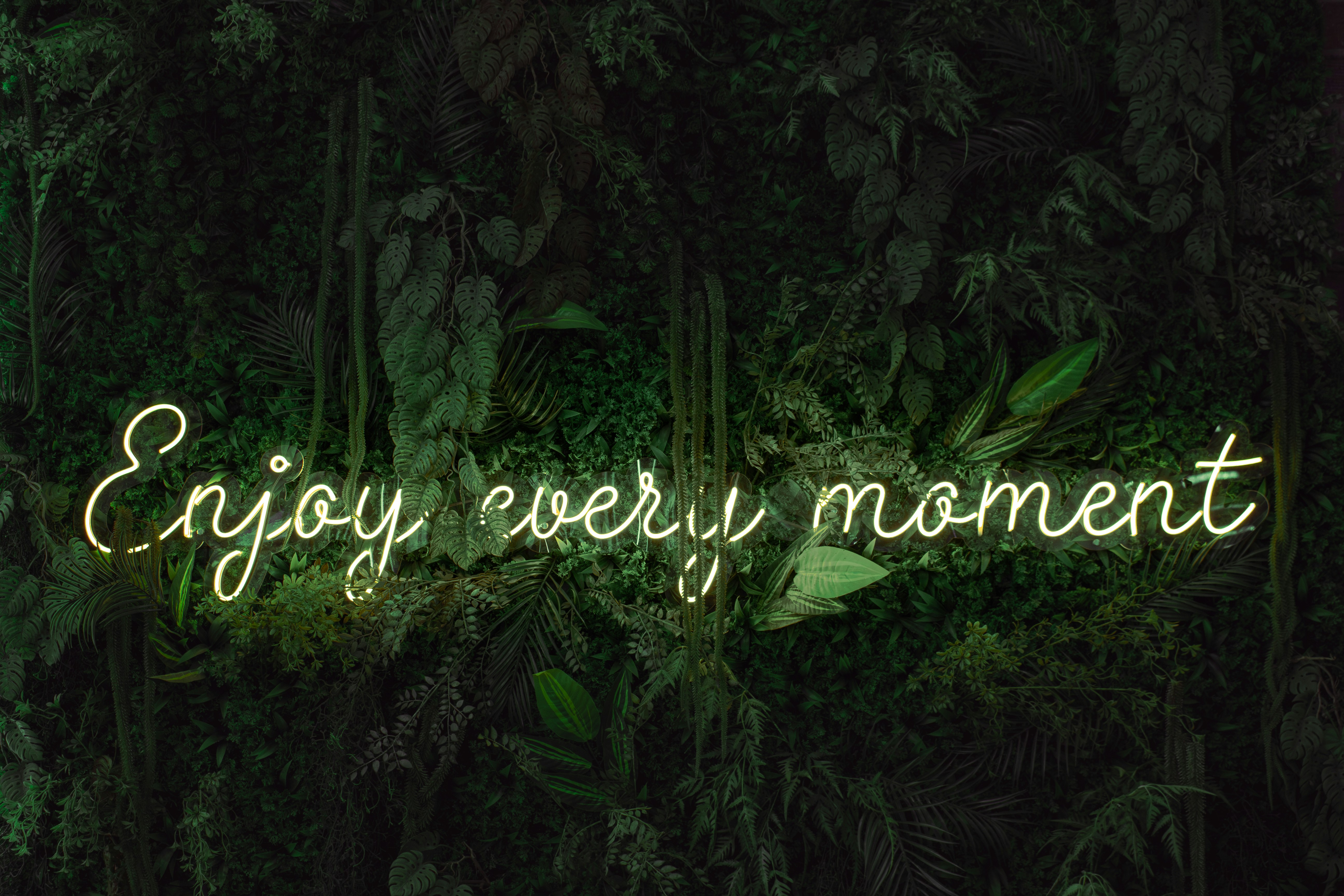 Enjoy every moment, illuminated by neon.