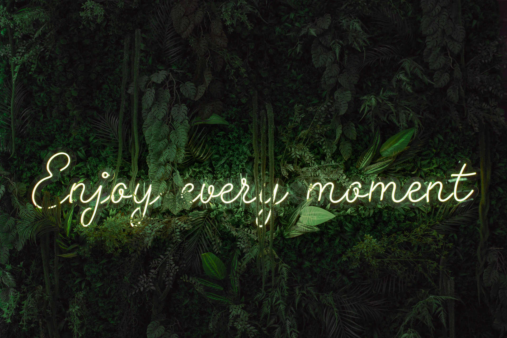 Enjoy every moment, illuminated by neon