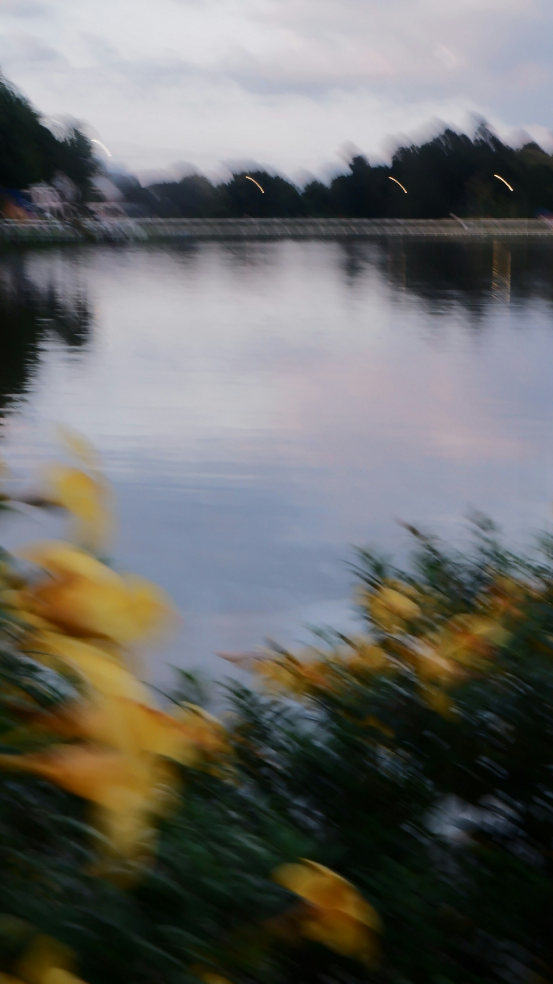 A blurry lakeside scene during dusk.