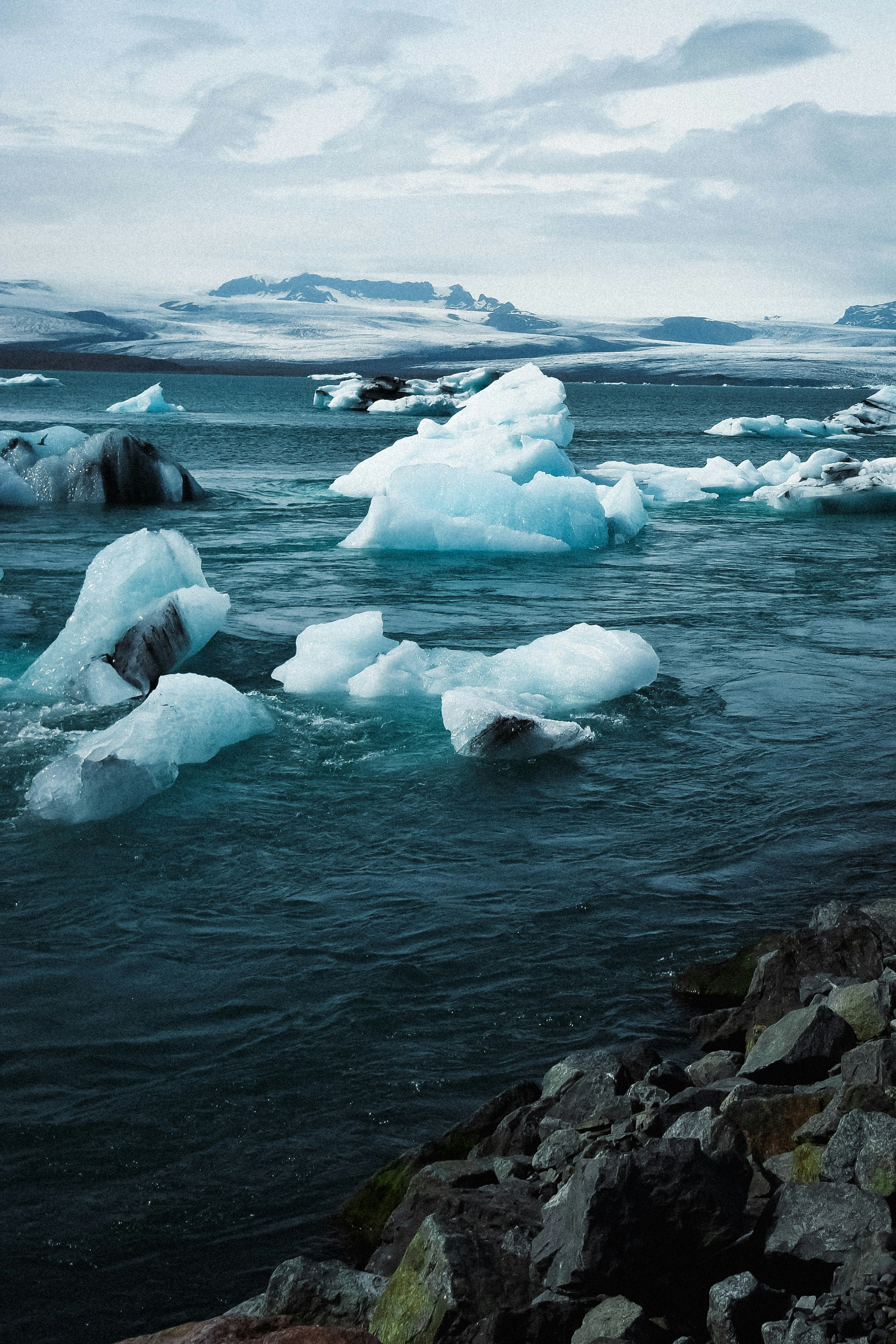 Photo by sacracomelasindone