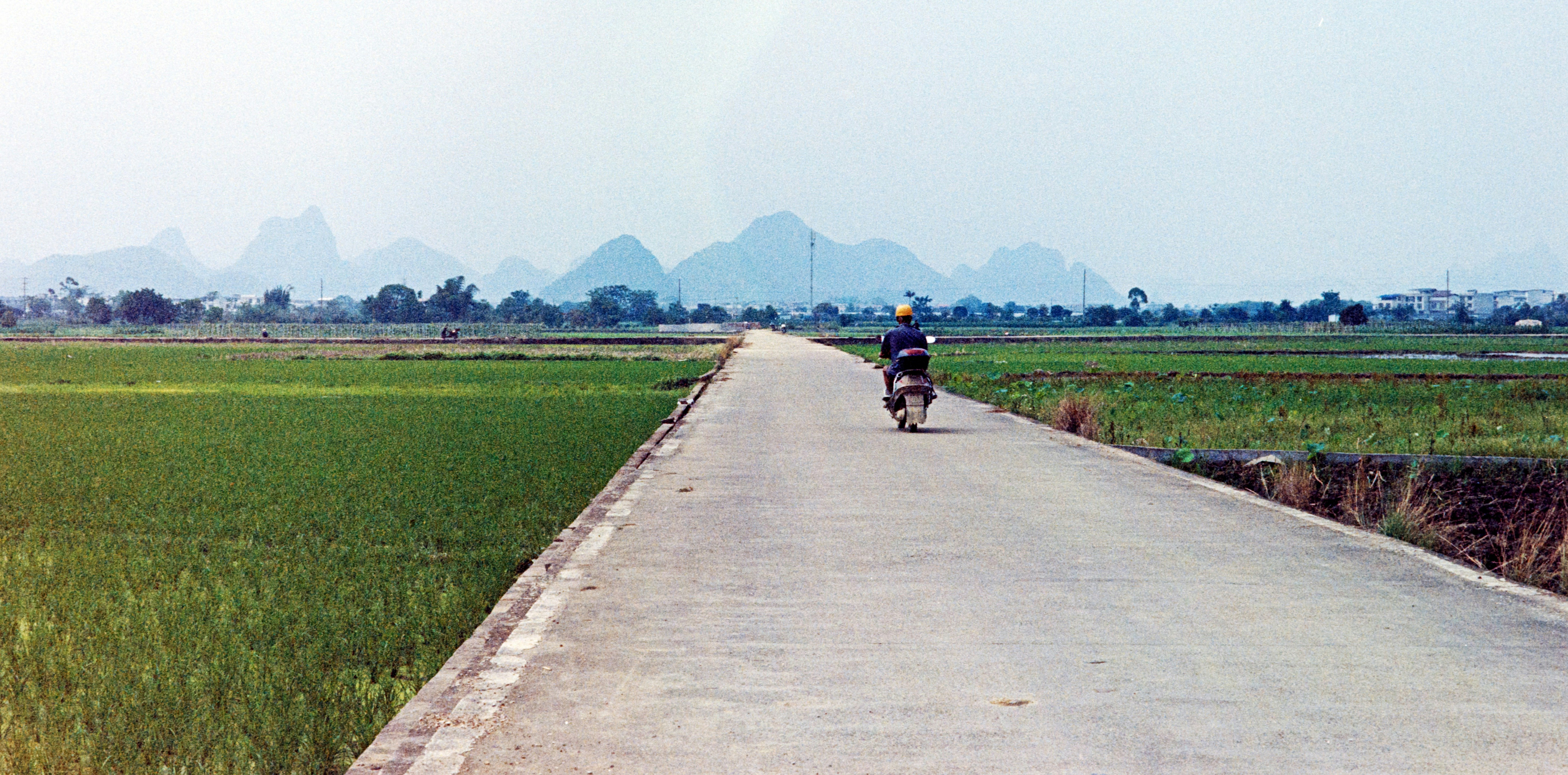 A motorbike rides down a road through fields.