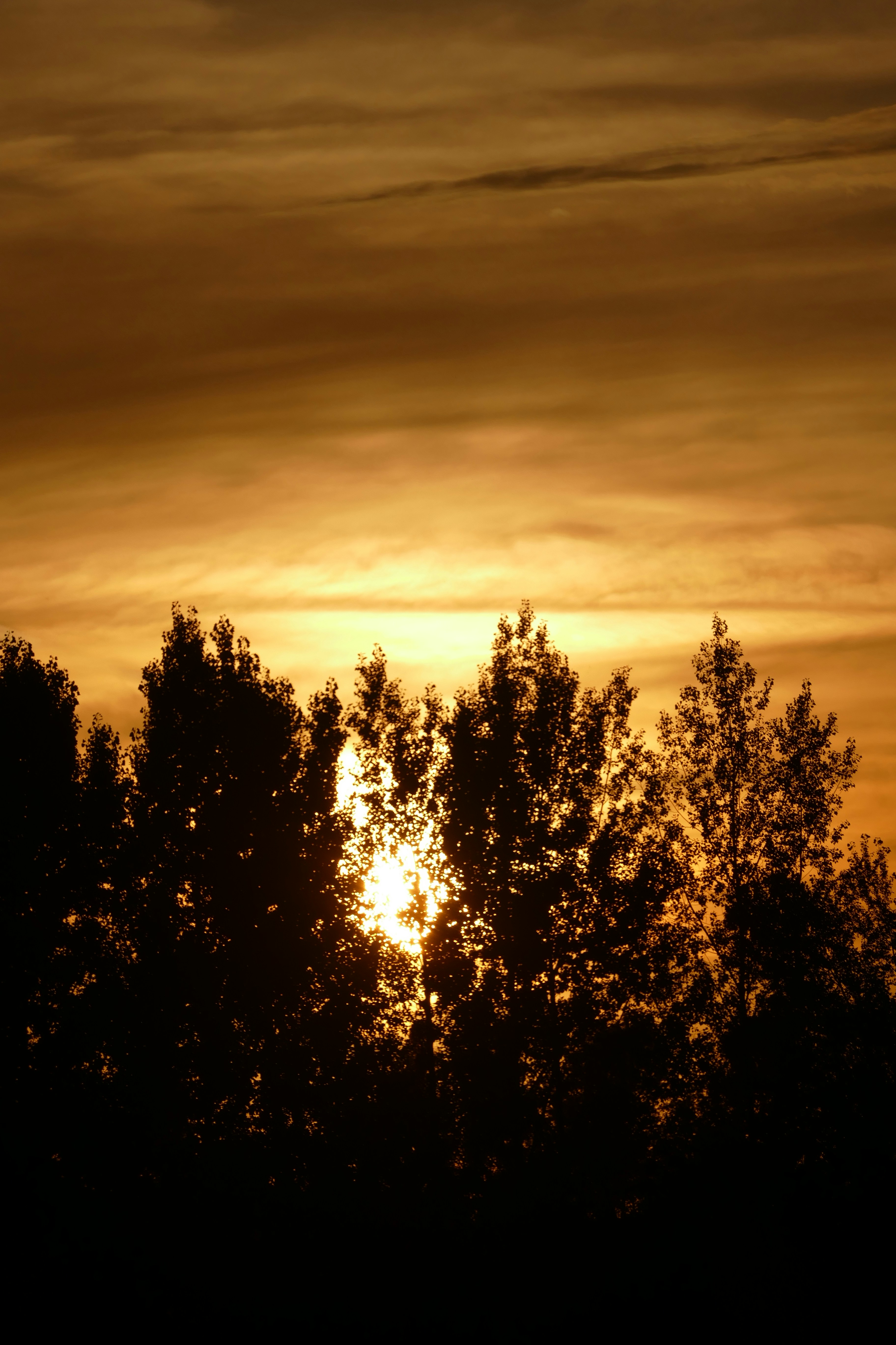 Photo by dekowelt