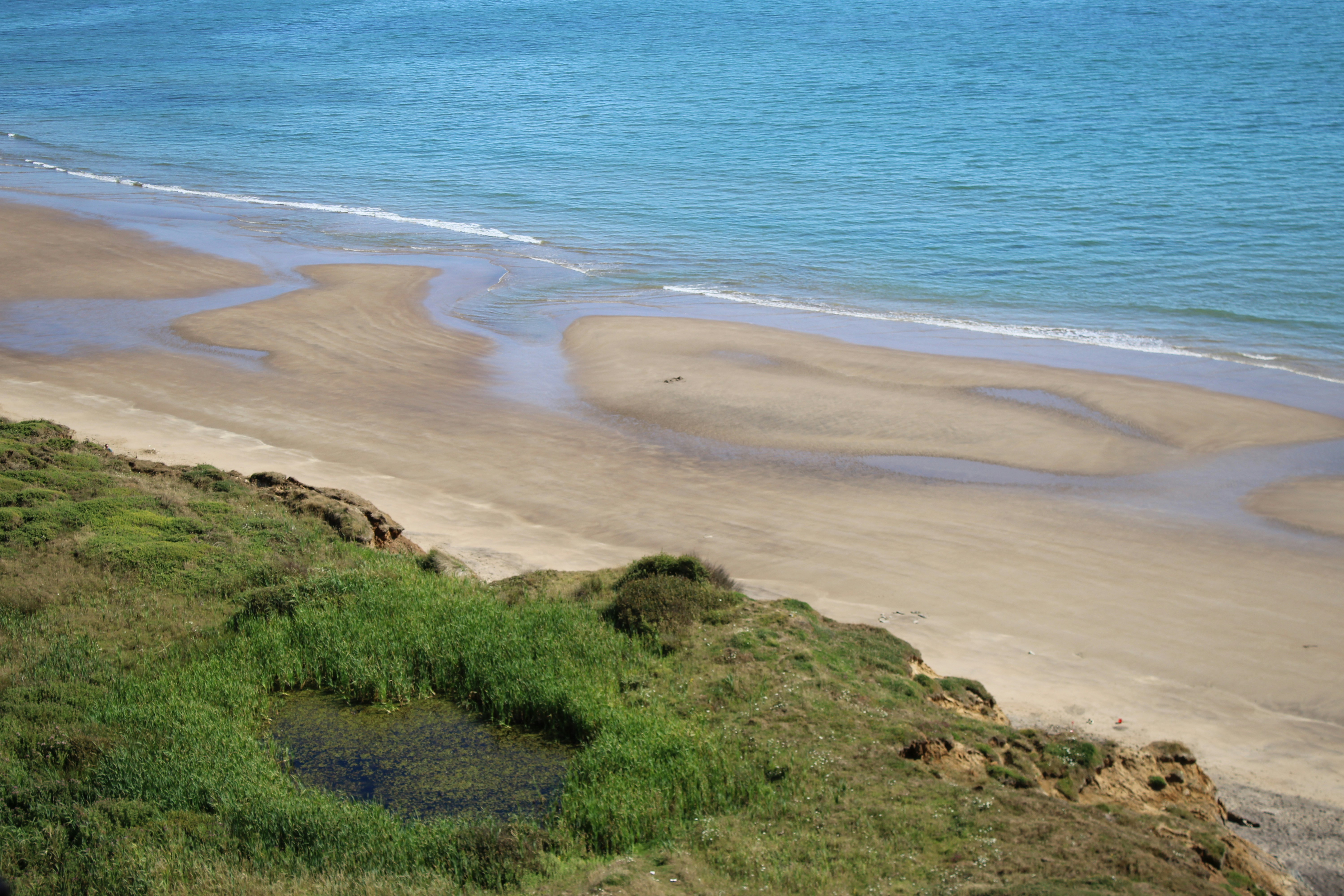 A beach with clear water and lush greenery