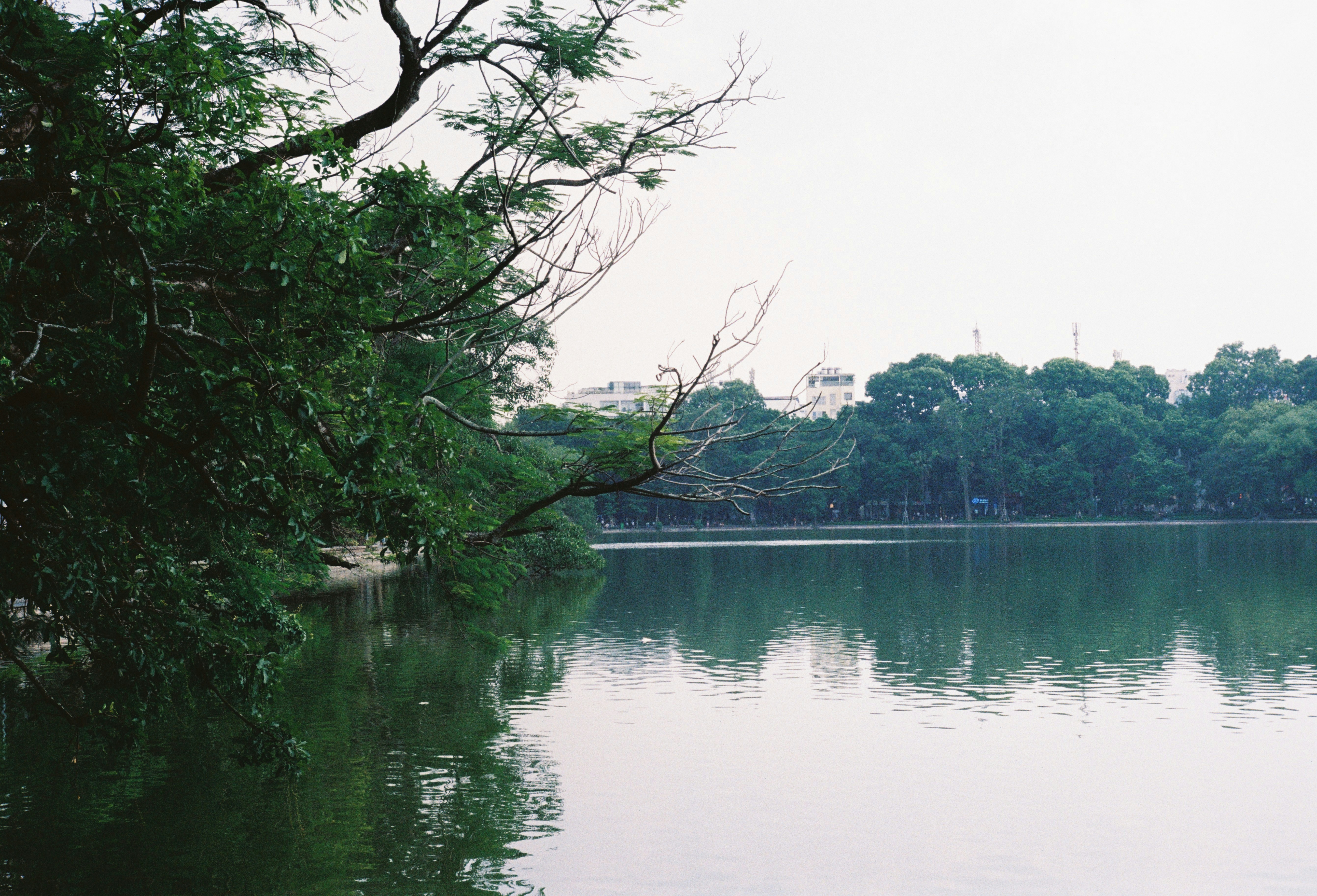 Photo by donguyenkhanhs