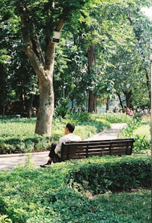 A man sits on a bench in a park.