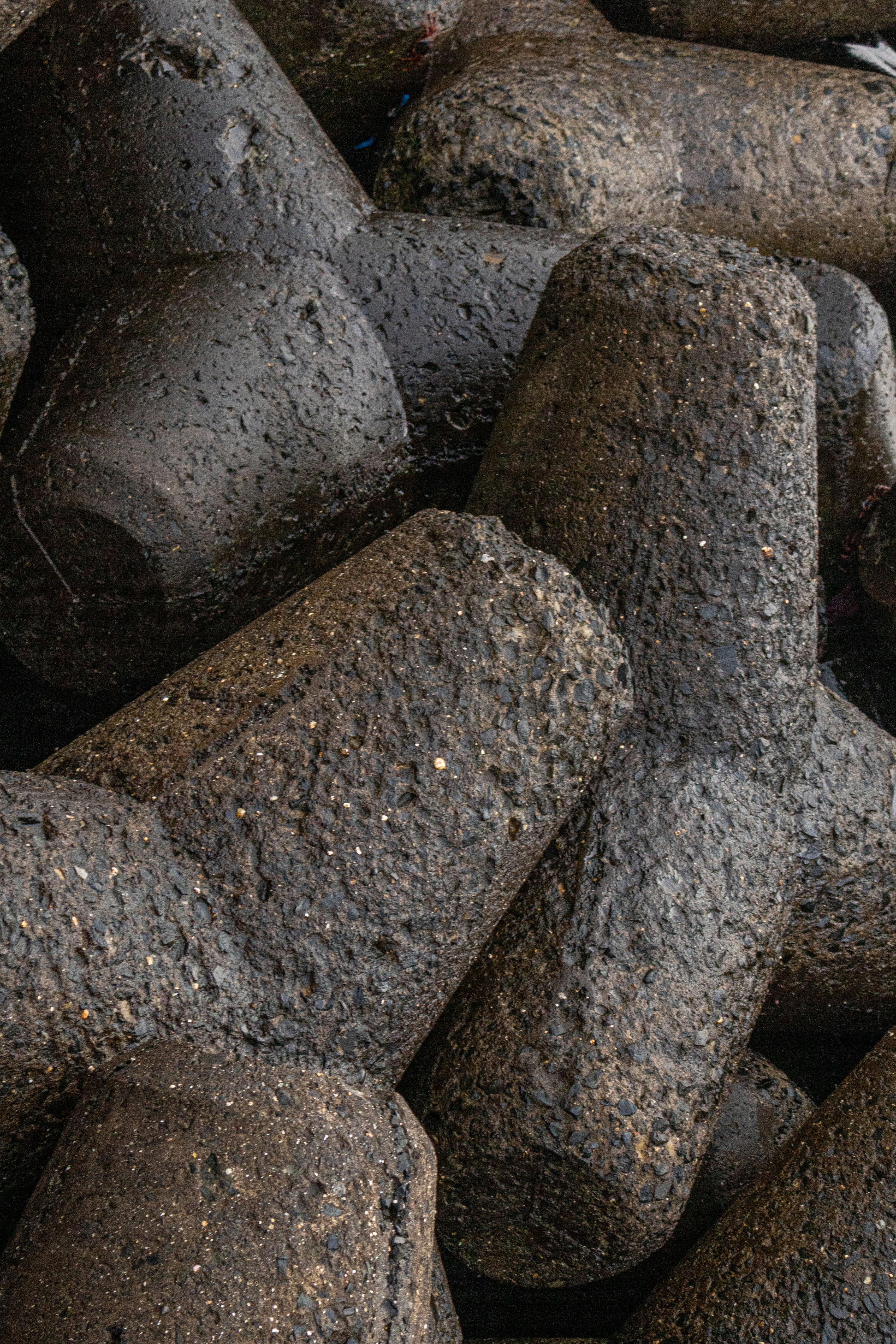 Photo by zoshuacolah