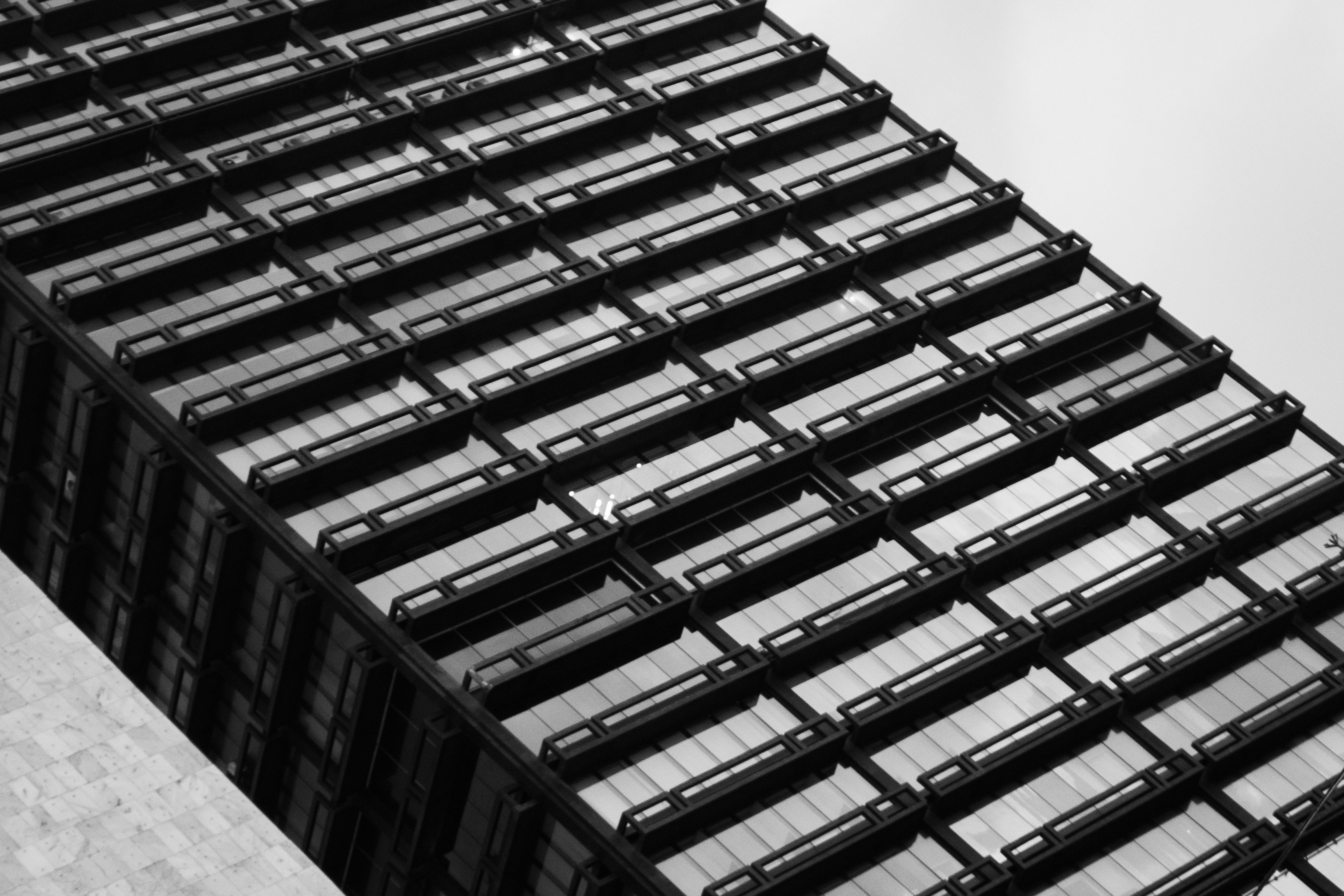 Photo by zoshuacolah