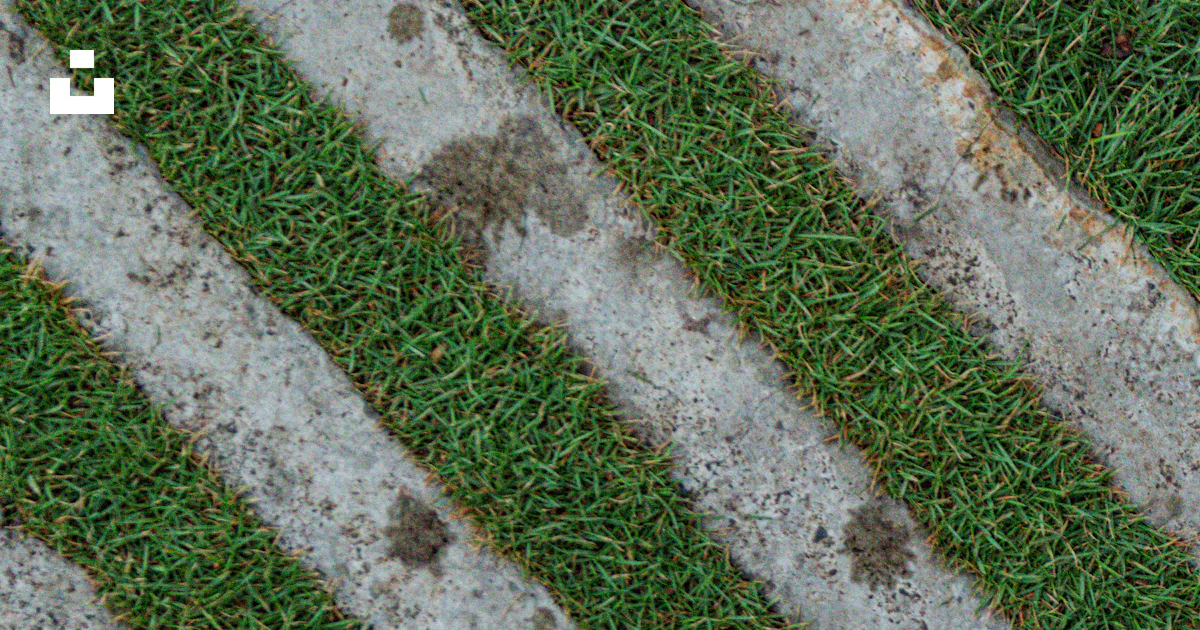 Diagonal Turf Pattern Diagonal strips of grass and concrete create a pattern. photo – Free ...