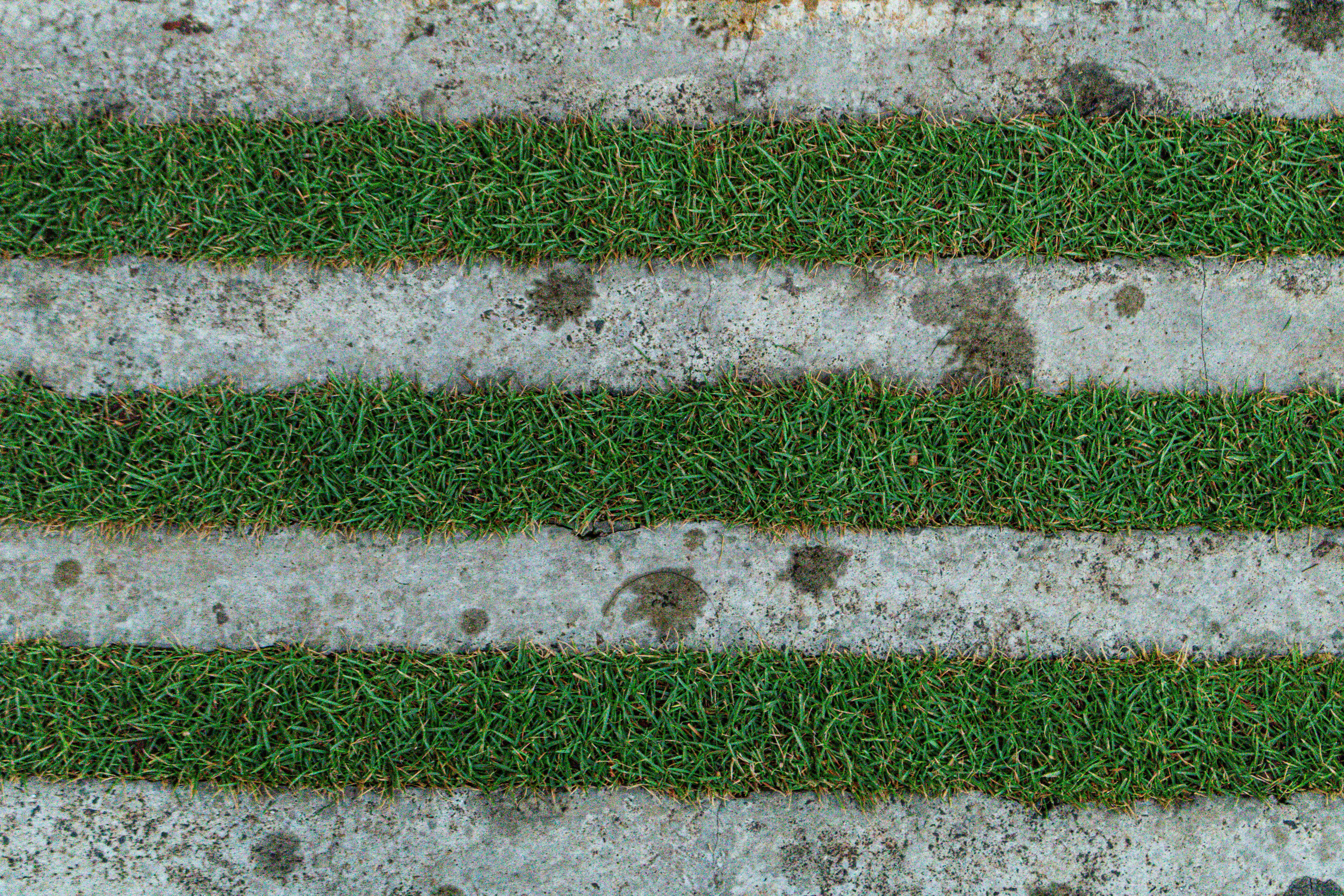 Photo by zoshuacolah