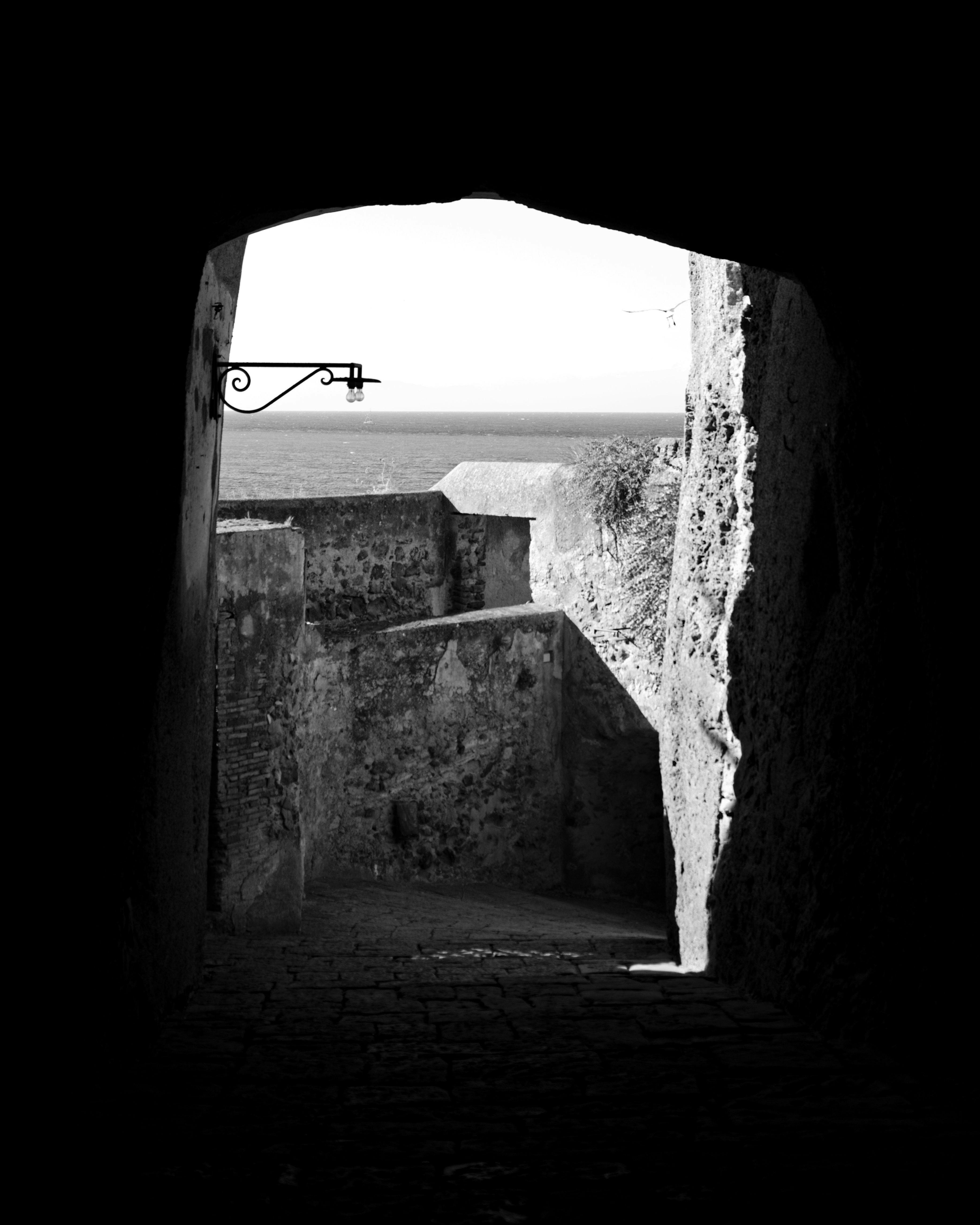 Photo by servinagrero