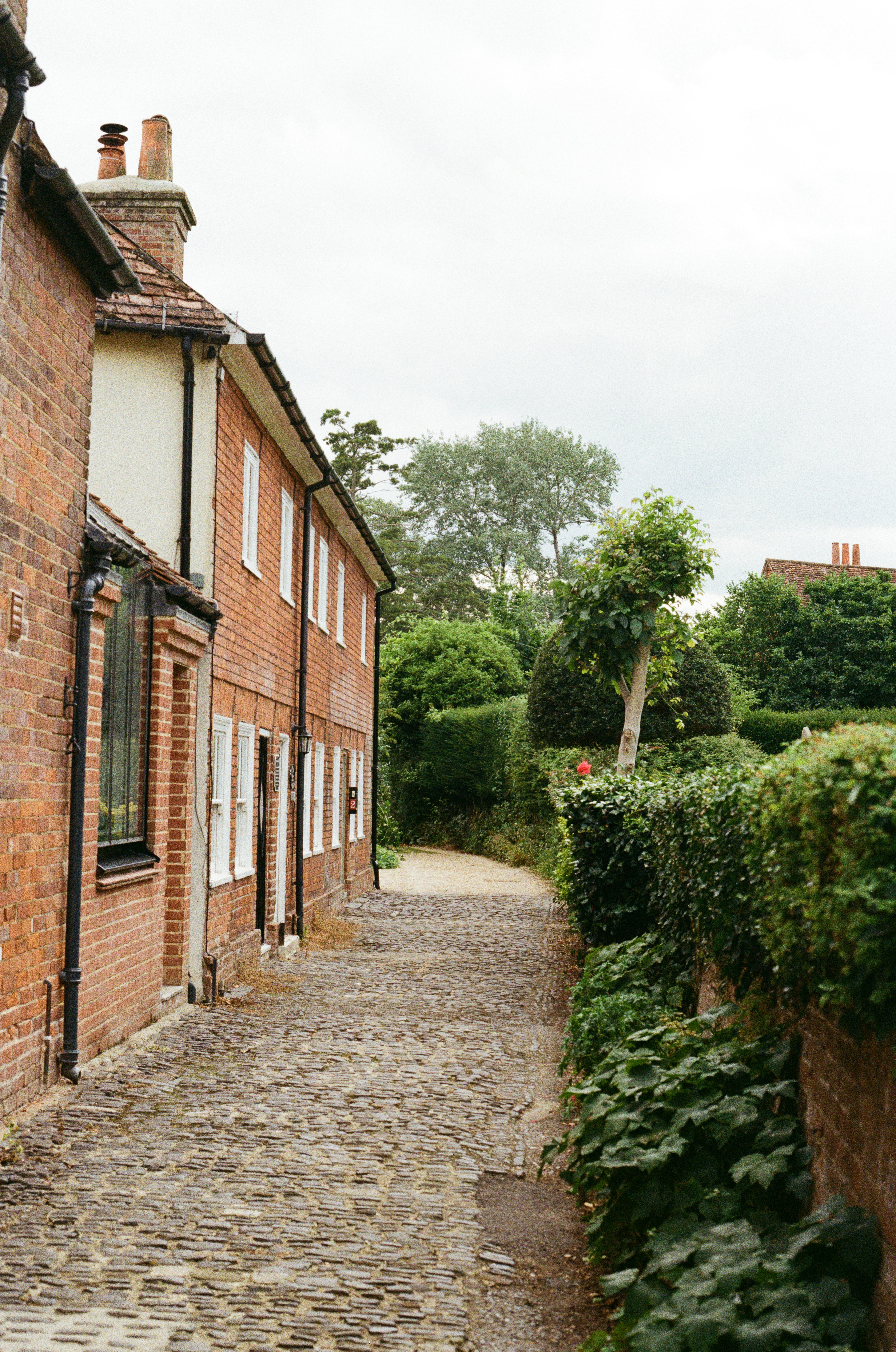 Photo by tanyabarrow