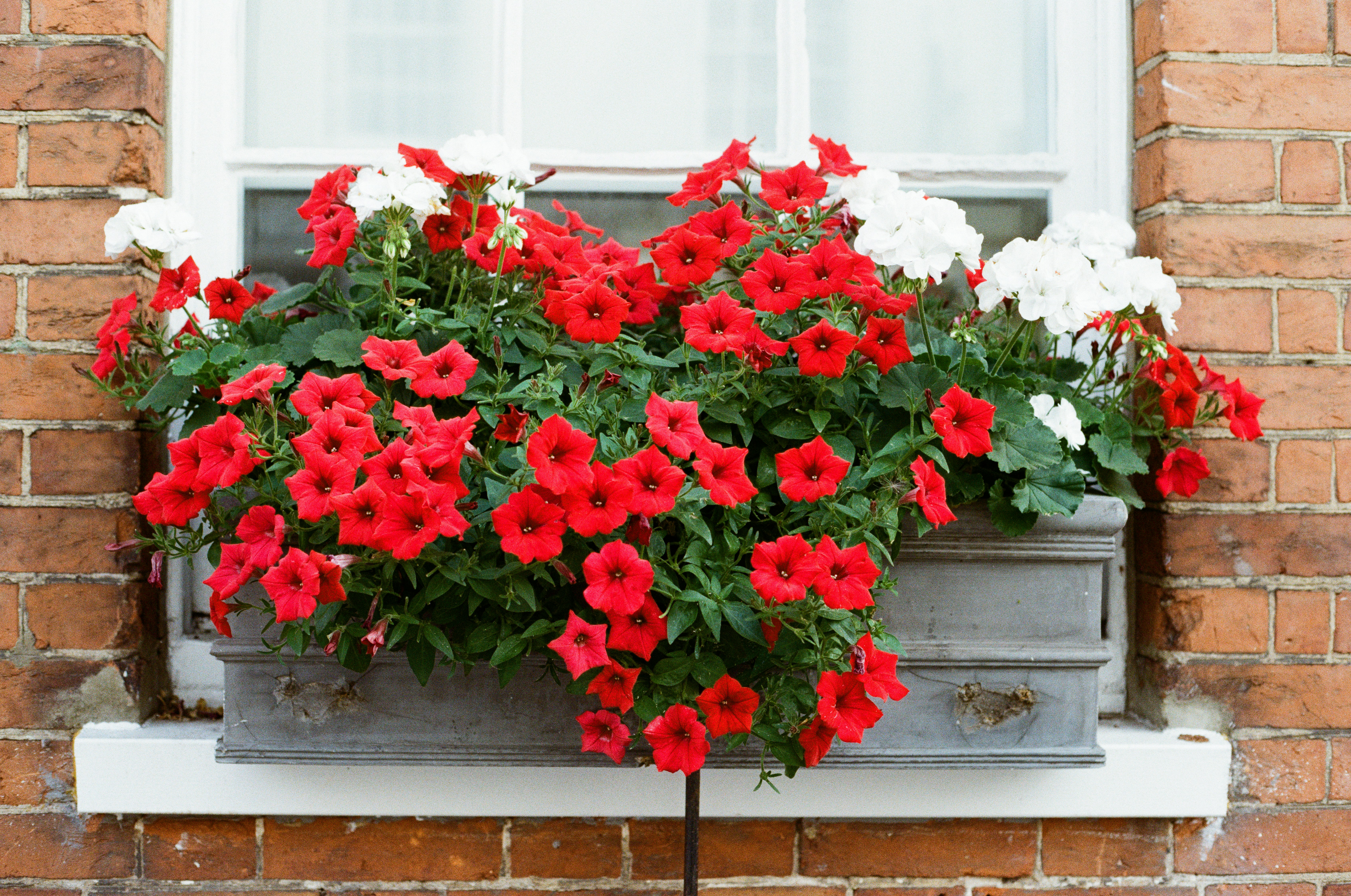 Photo by tanyabarrow