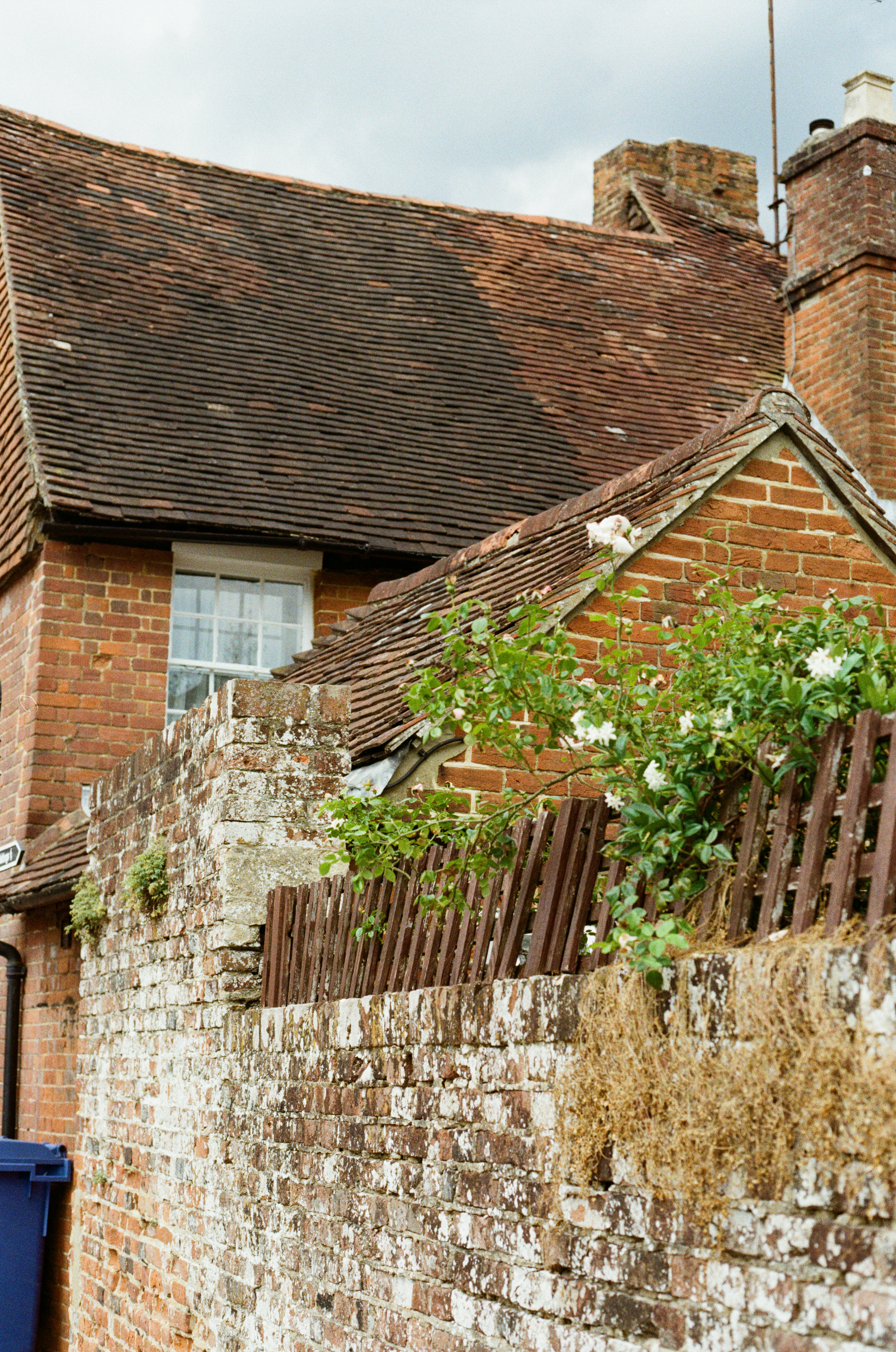 Photo by tanyabarrow