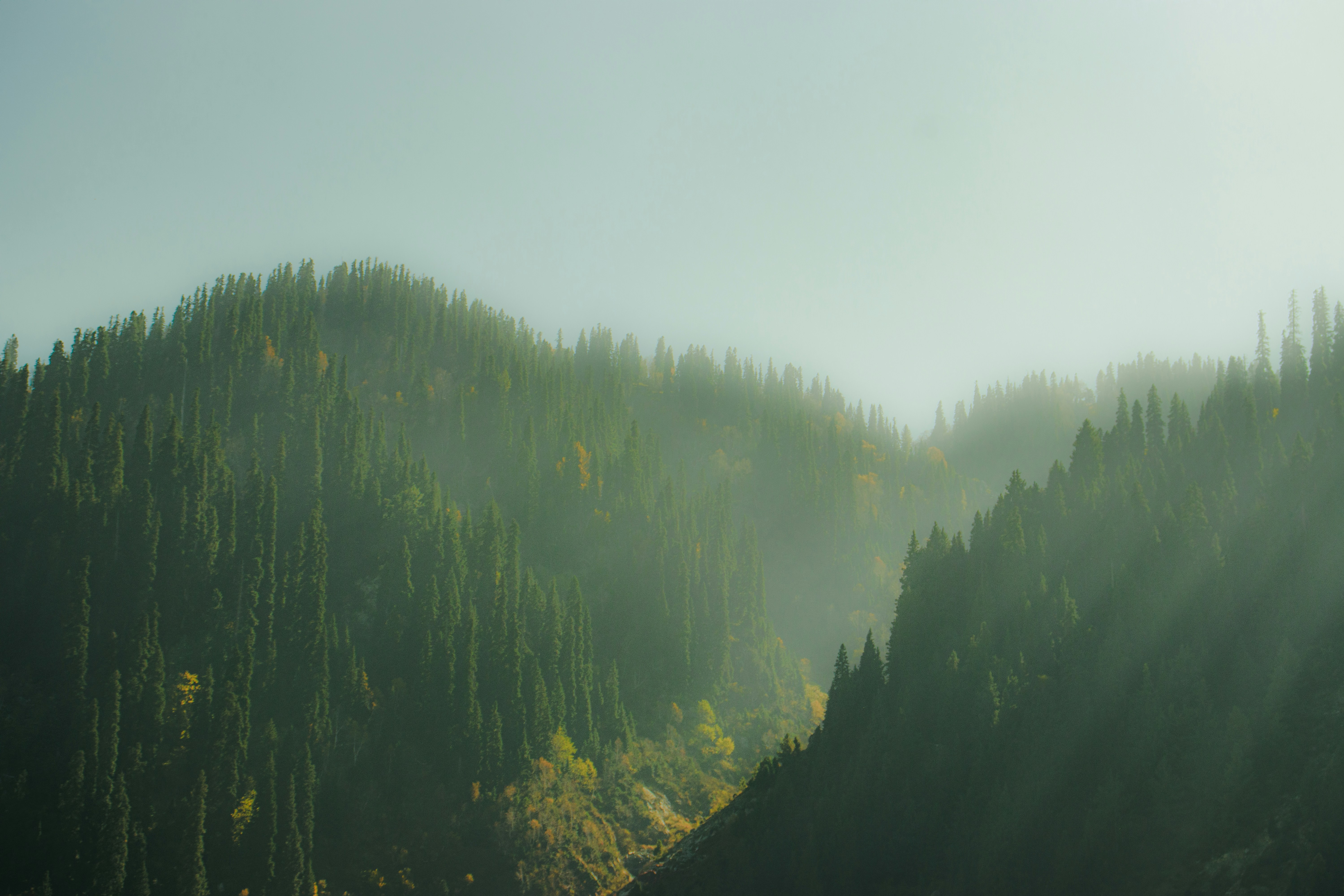 Photo by diljotbphotography